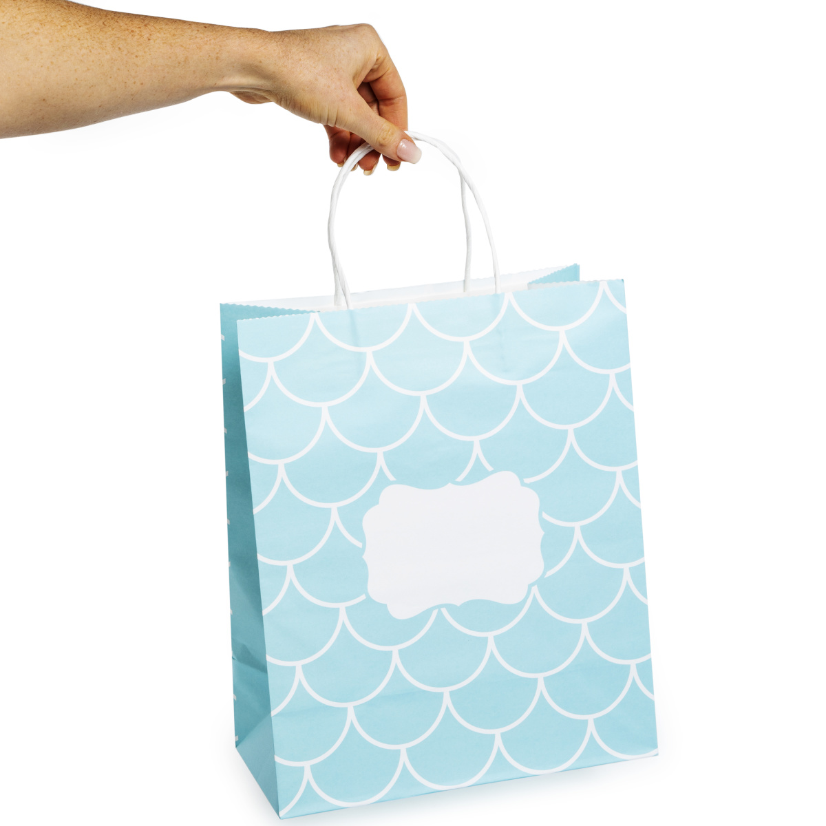 Magical Gift Bags 6-Pack, 13in x 10.5in