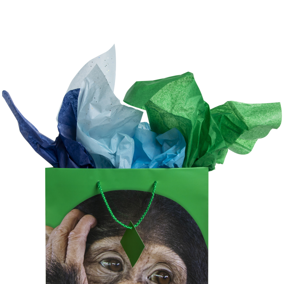 Blue & Green Gift Tissue 20 Sheets