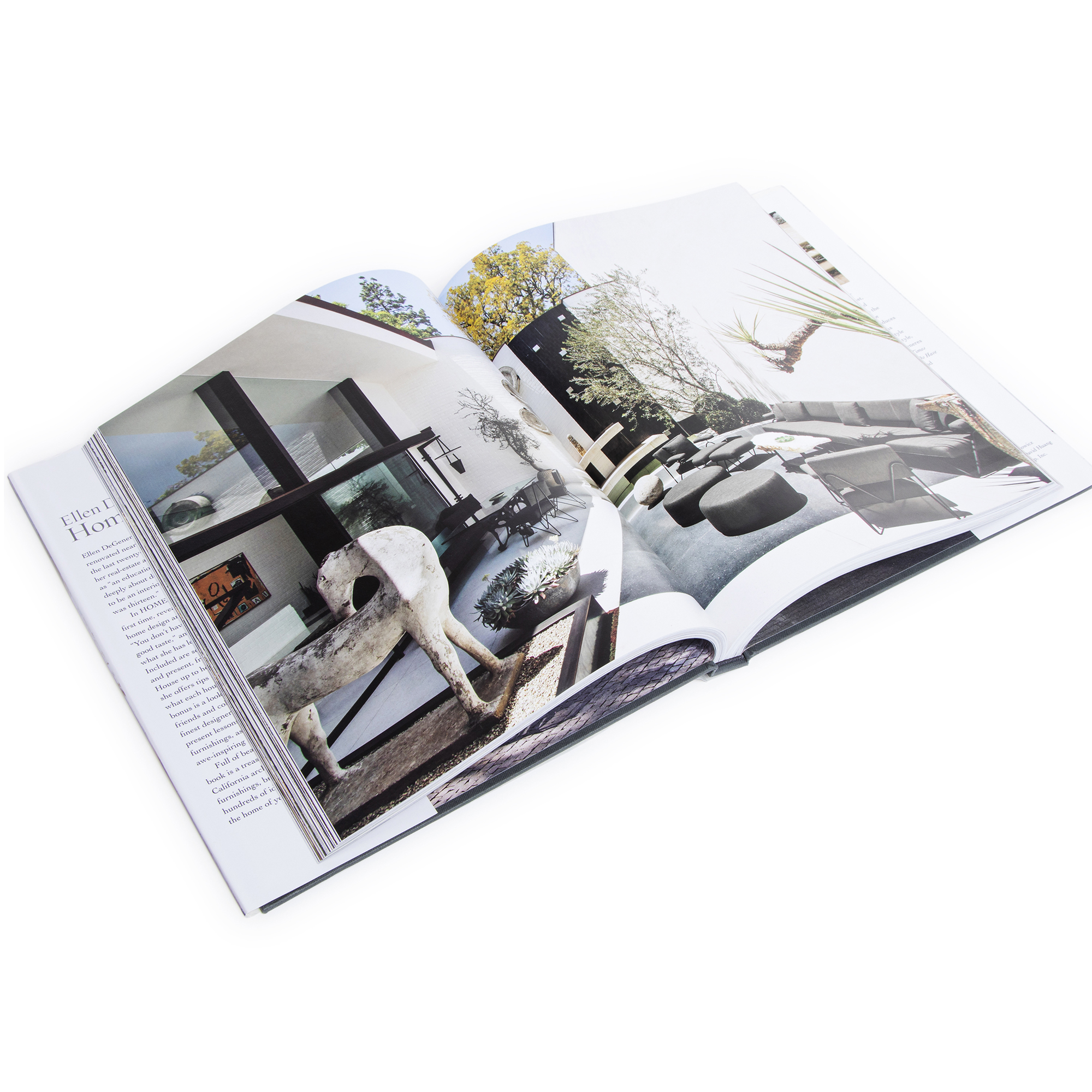 Ellen Degeneres: Home