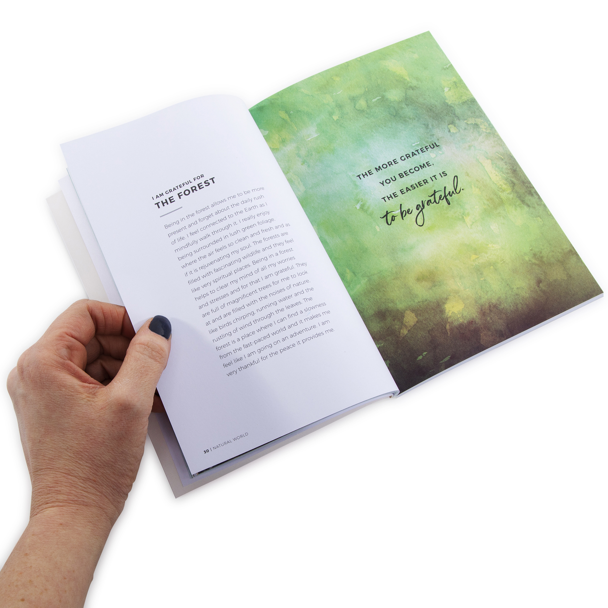 Finding Gratitude: Simple Ideas That Can Change Your Life