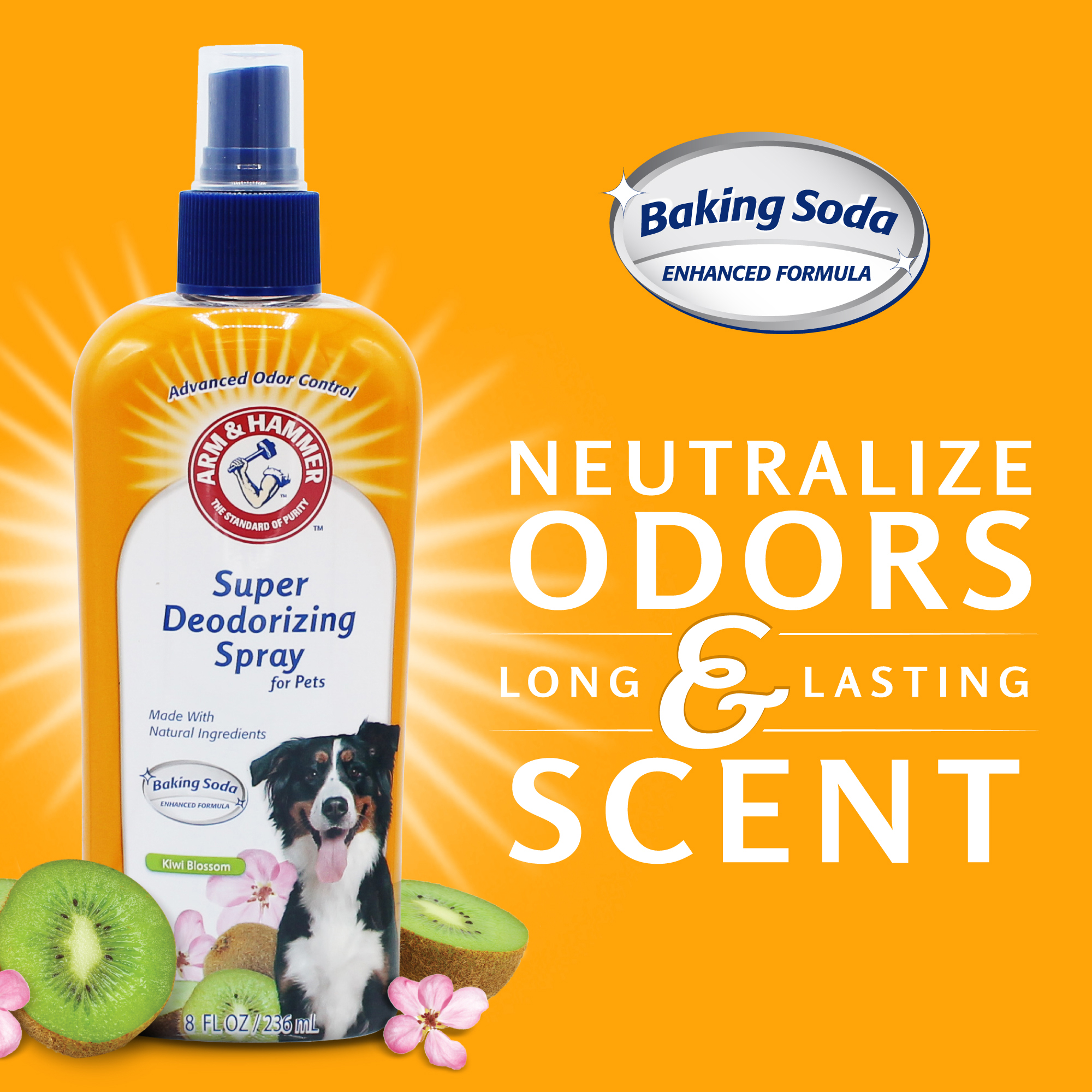 Arm & Hammer® Super Deodorizing Spray - Kiwi Blossom 8oz