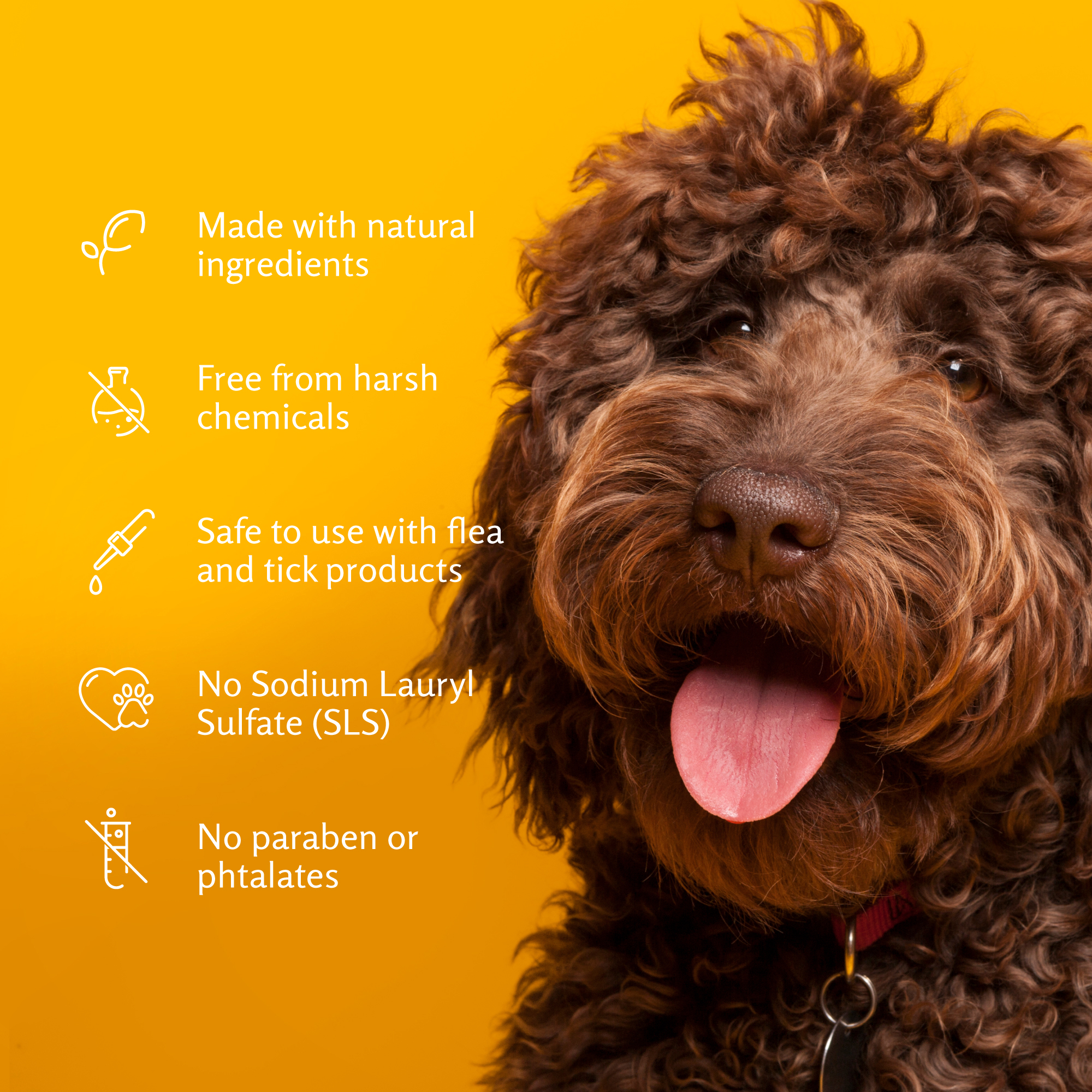 Arm & Hammer® Super Deodorizing Spray - Kiwi Blossom 8oz