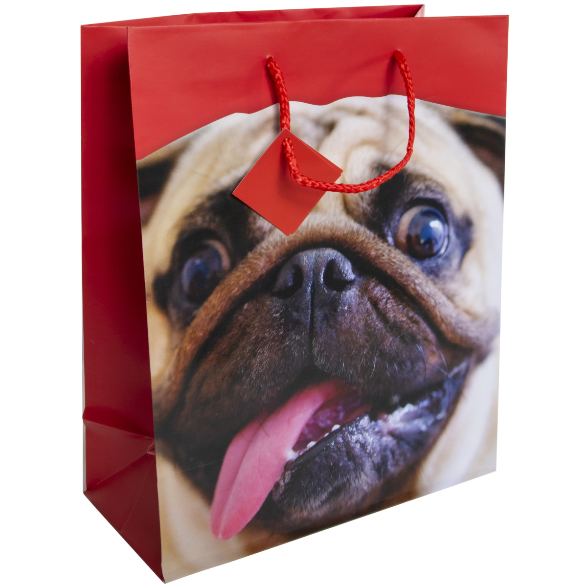 Baby Animal Large Gift Bags