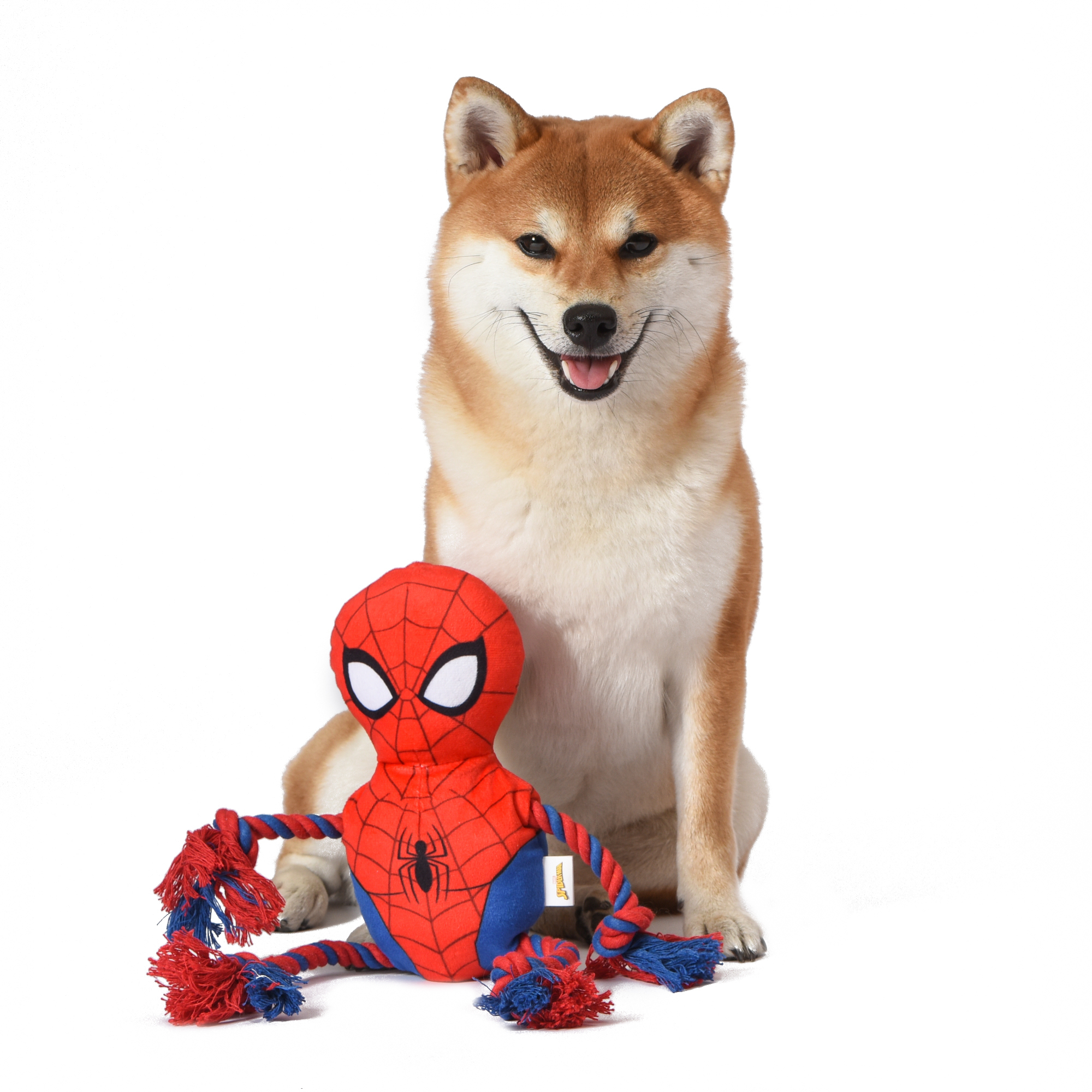 dog toy peluche spiderman