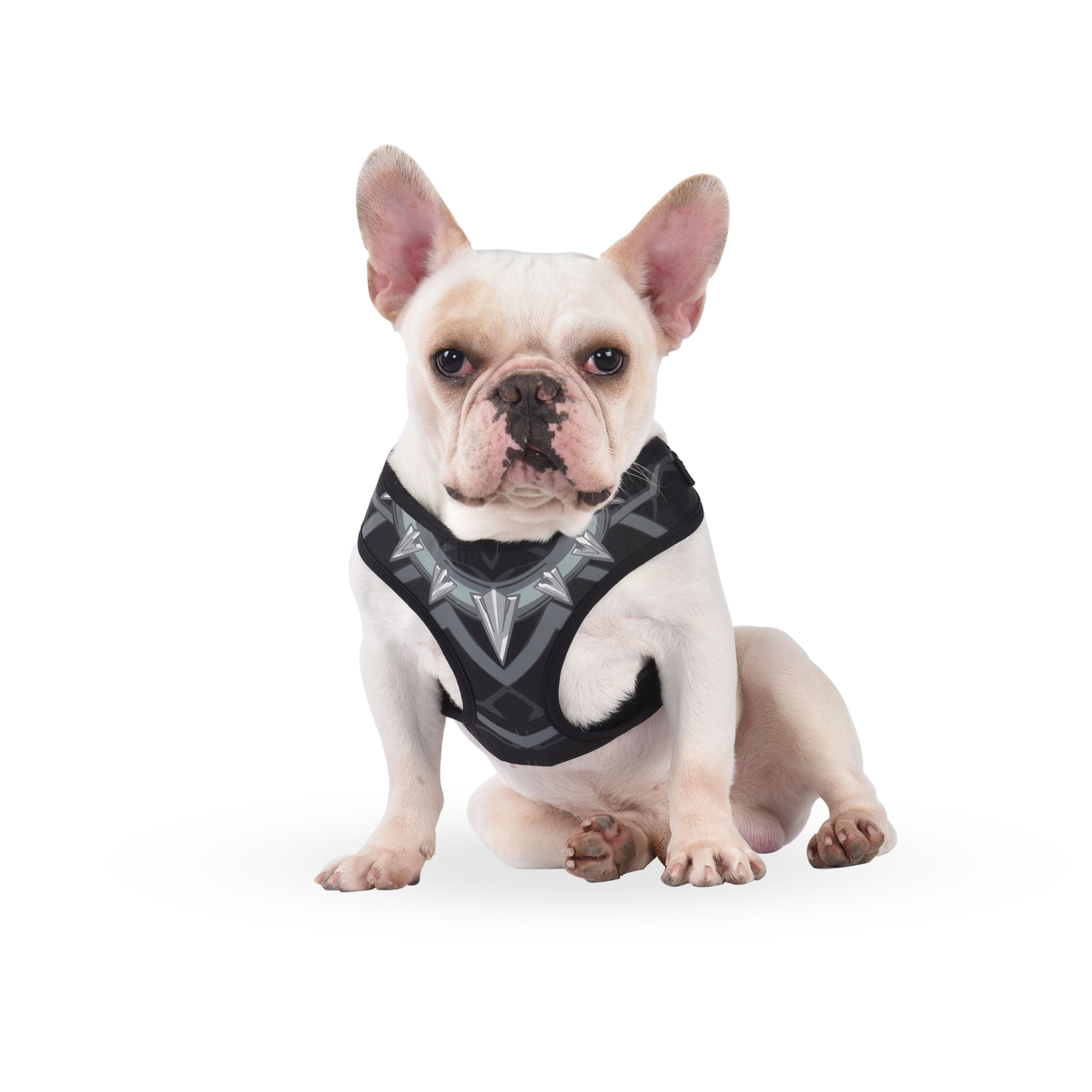 Marvel® Black Panther™ Pet Harness - Small