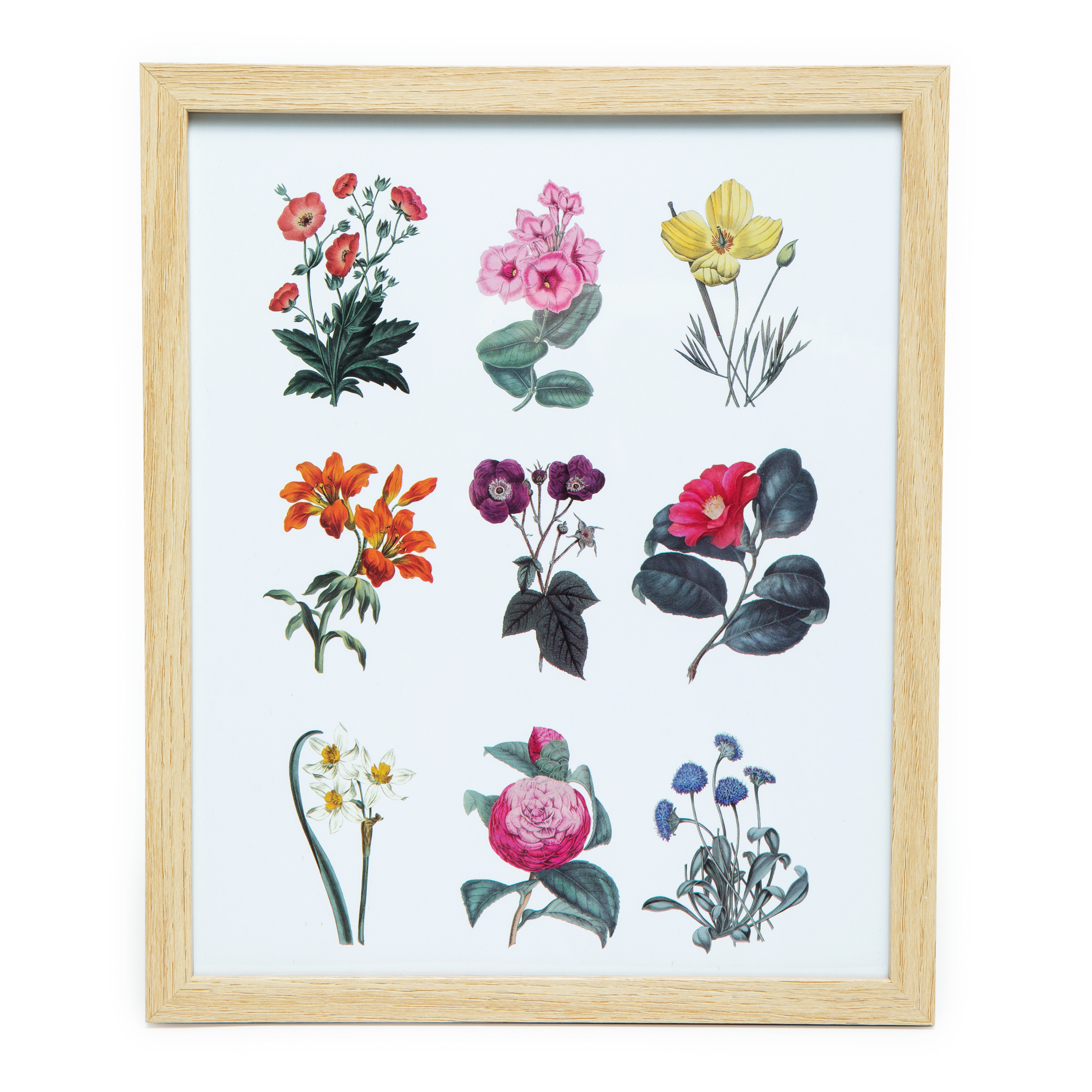 Floral Framed Prints 10in x 12in