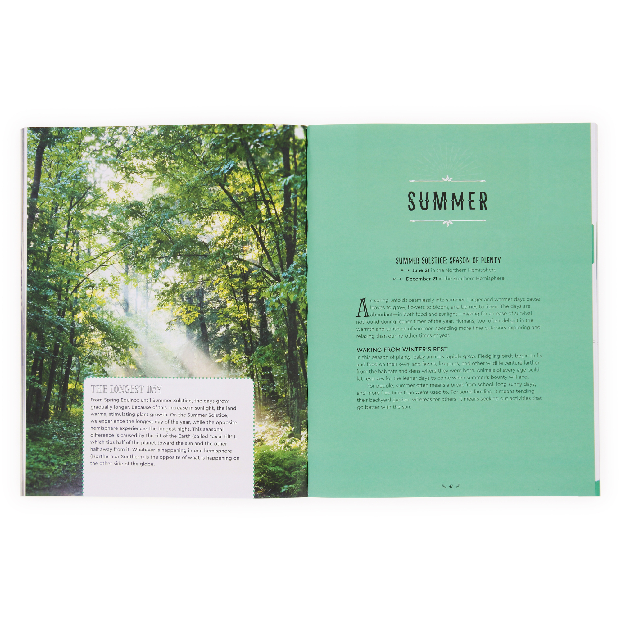 The Unplugged Family Activity Book