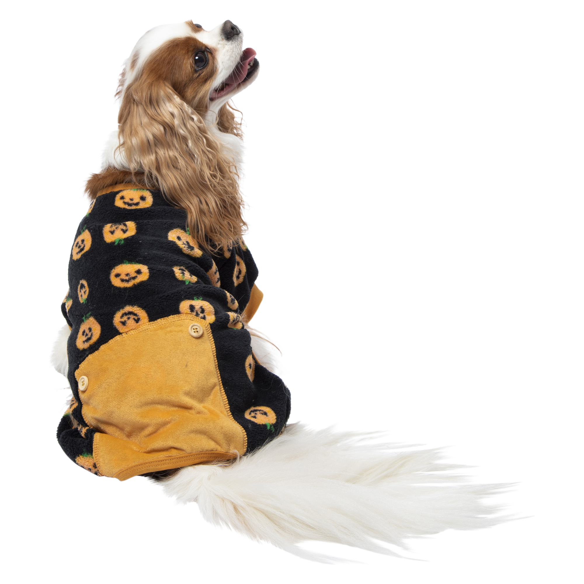 Halloween Plush Pet Pajamas