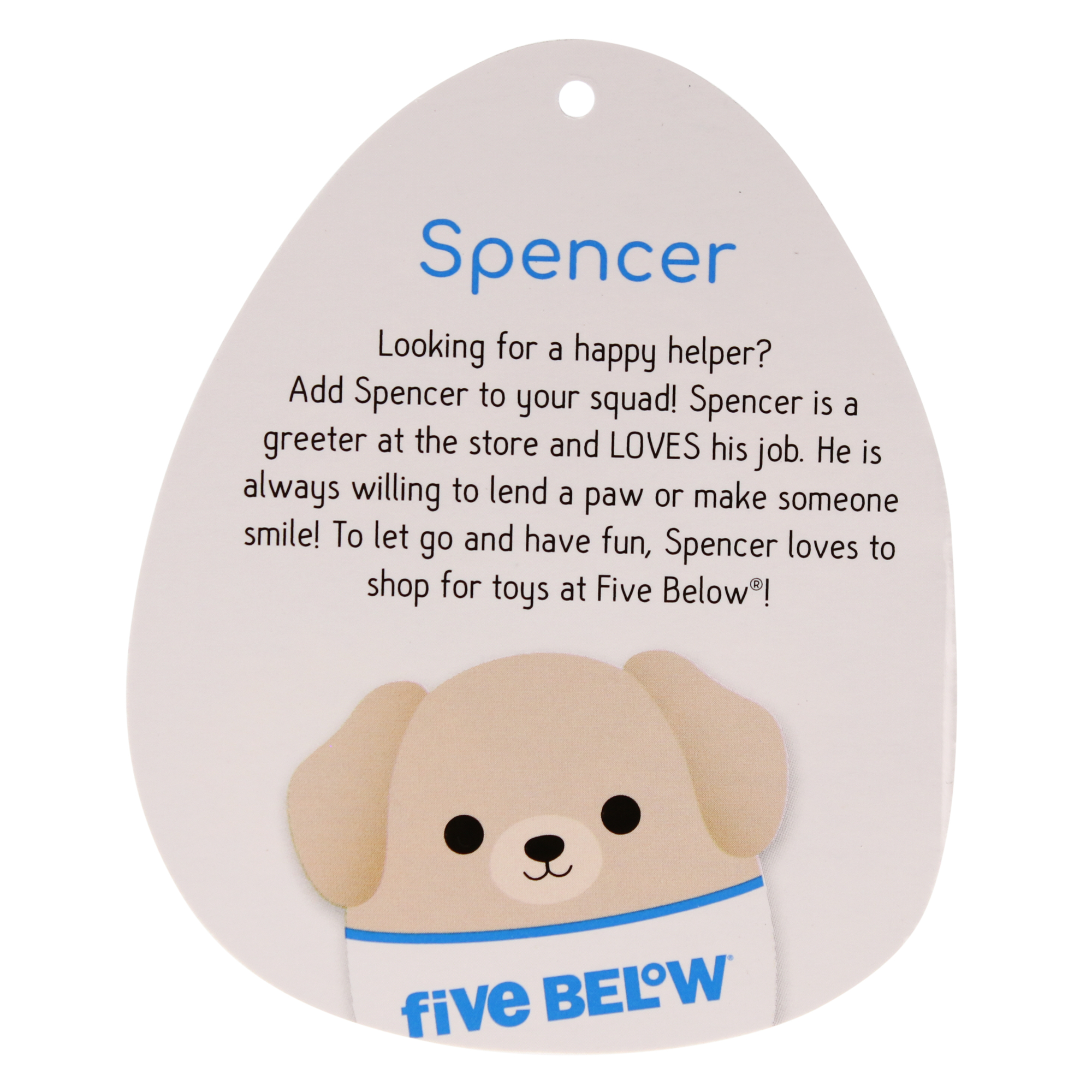 Squishmallows™ Spencer, The Five Below Labrador 7.5in