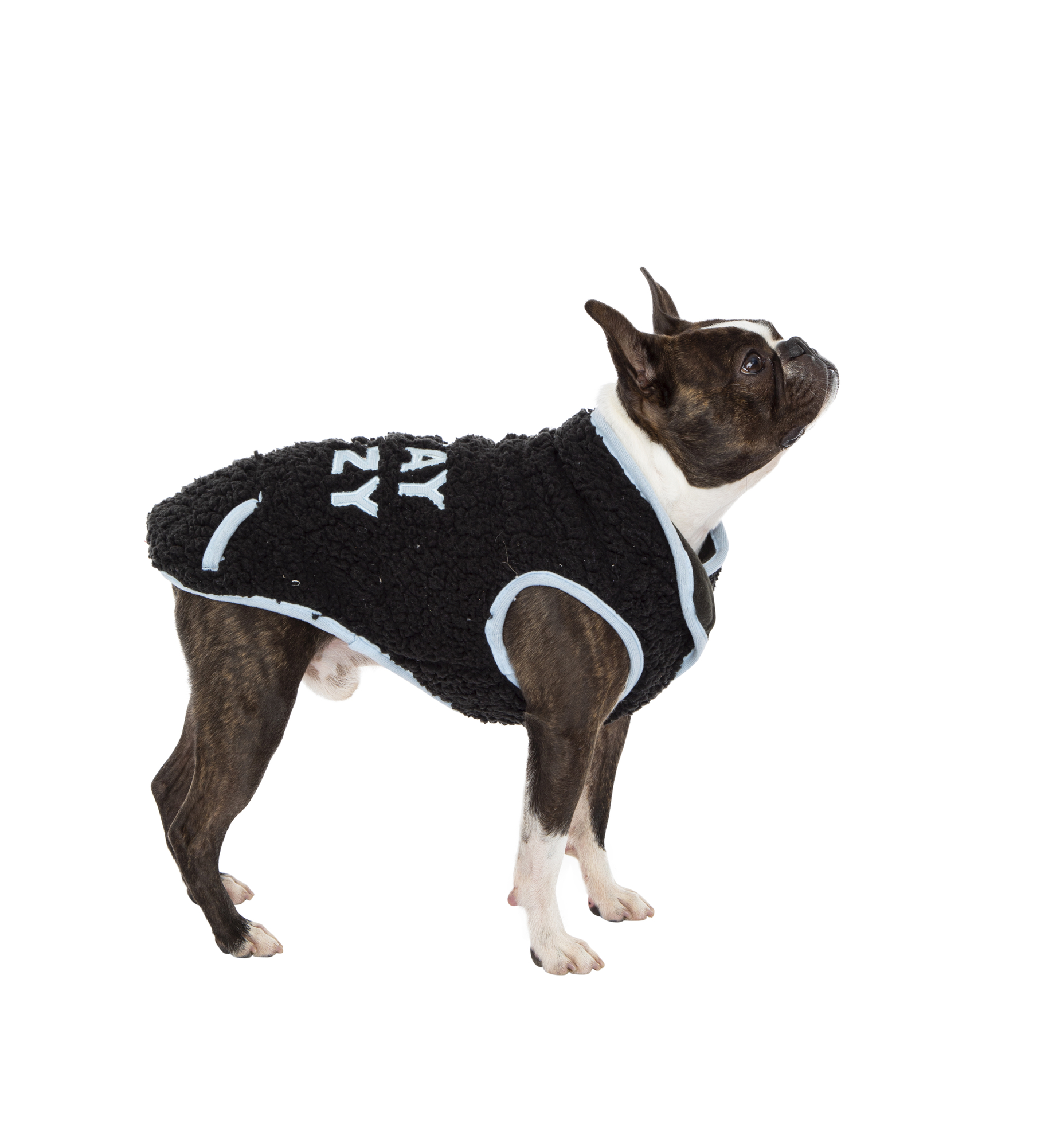 Sherpa Pet Jacket With Applique Quote