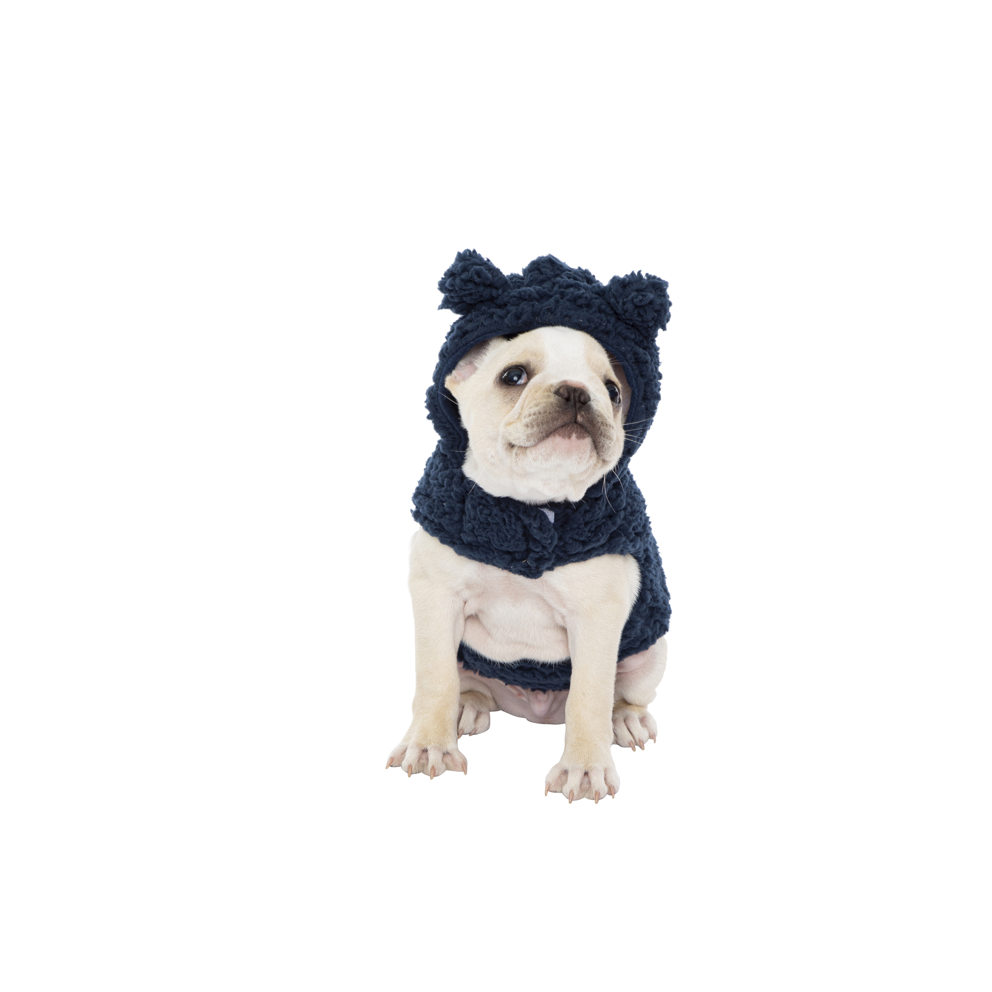 Fleece Pet Hoodie
