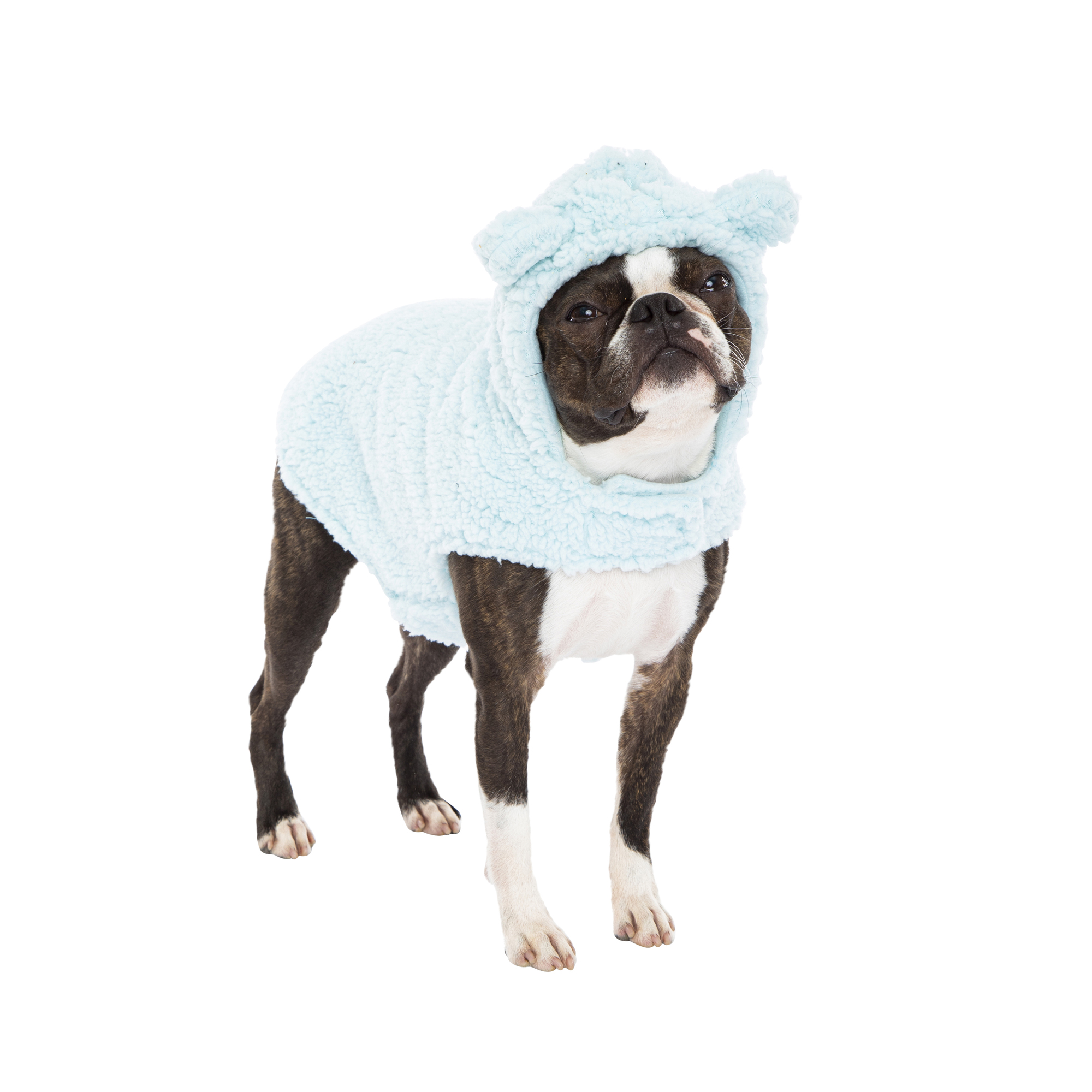 Fleece Pet Hoodie