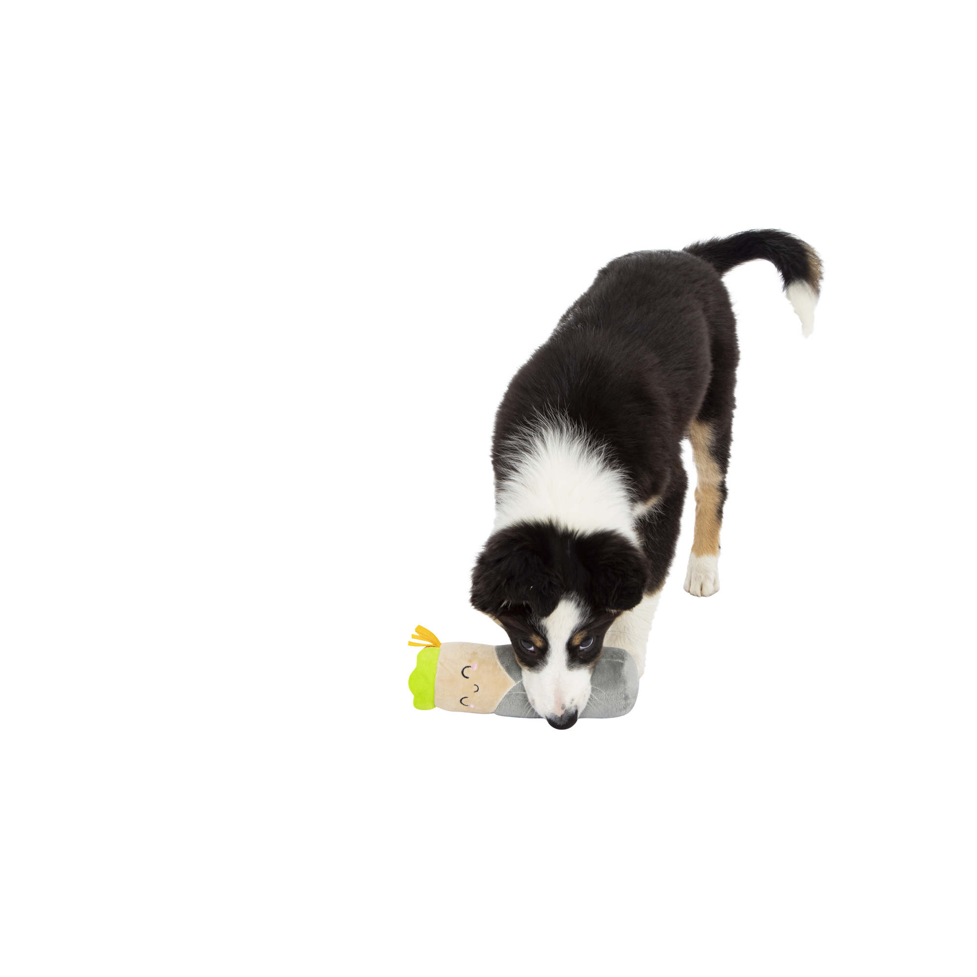 Foodie Plush Squeaky Dog Toy