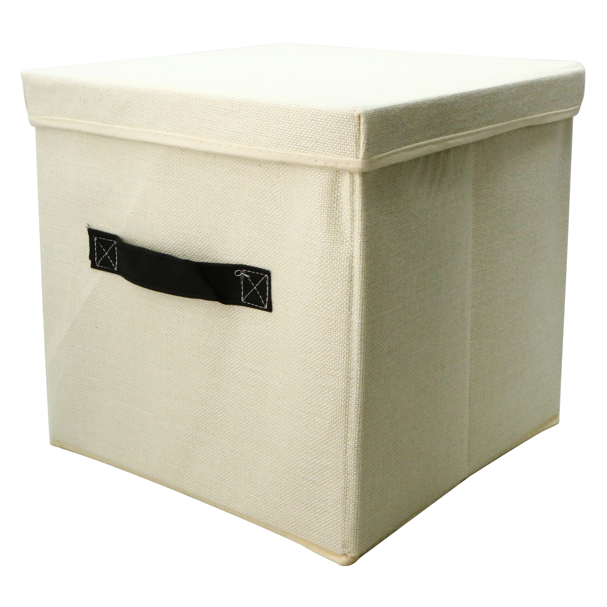 Collapsible Storage Bin With Lid 11in x