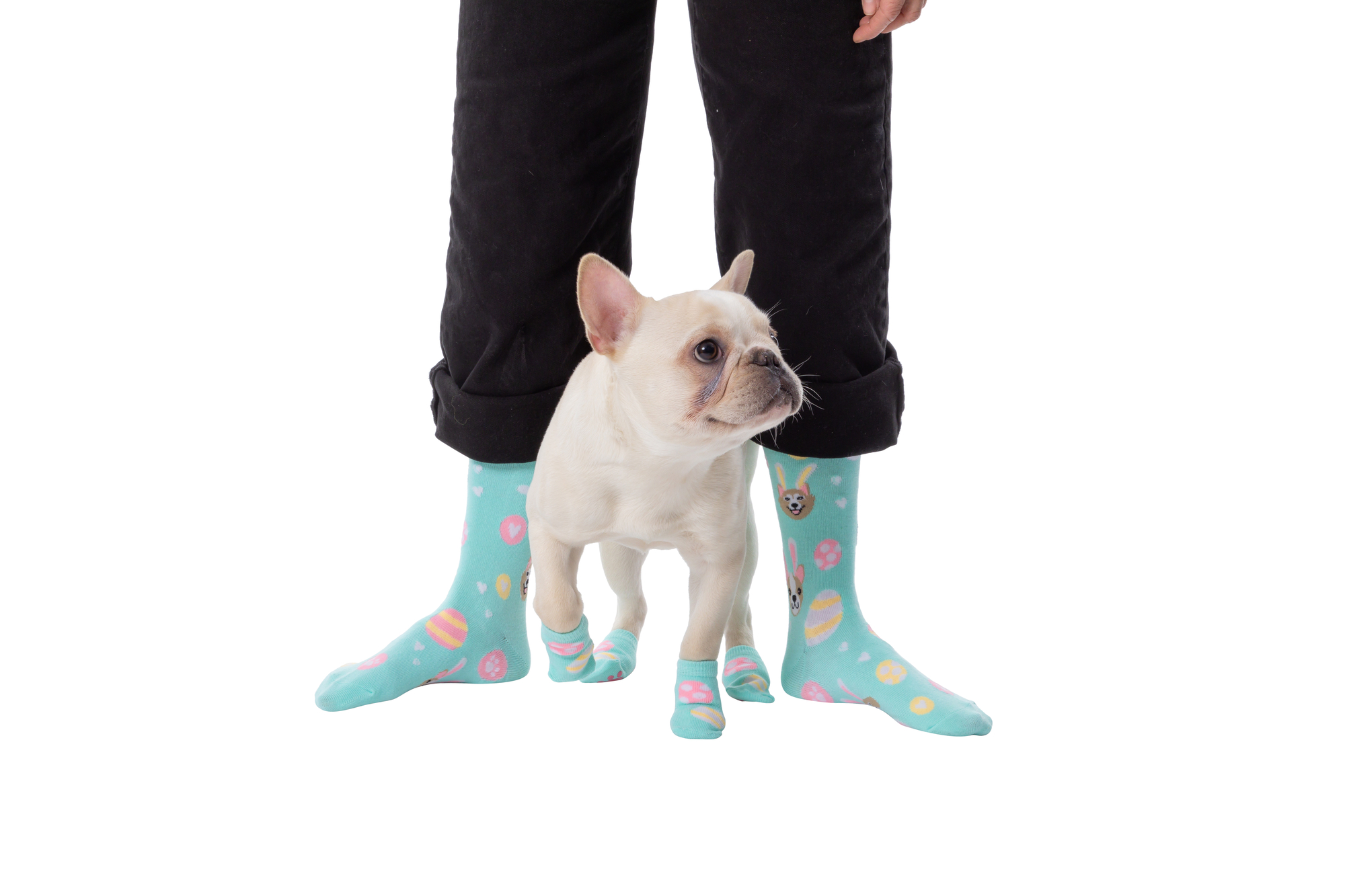Easter Dog & Owner Socks Matching Set