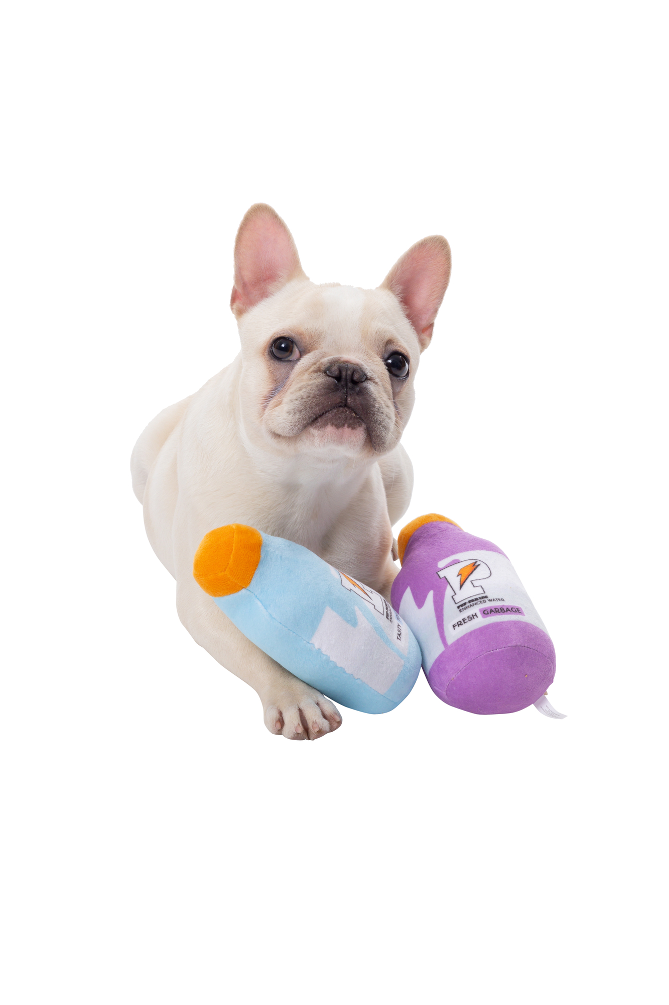 indestructible dog chew toy Durable TOME Treat-Dispensing Chew Bone  Aggressive Chewers
