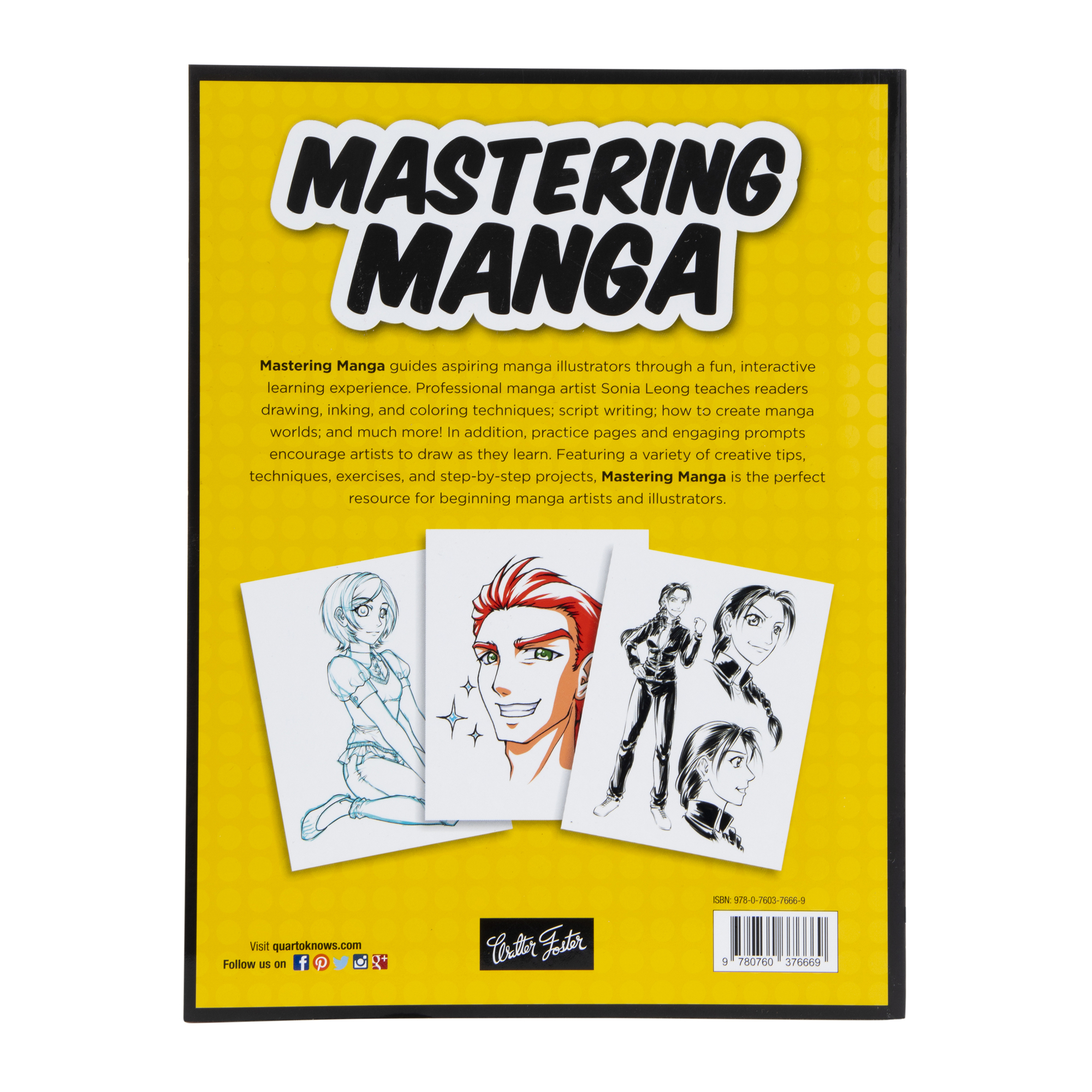 Mastering Manga