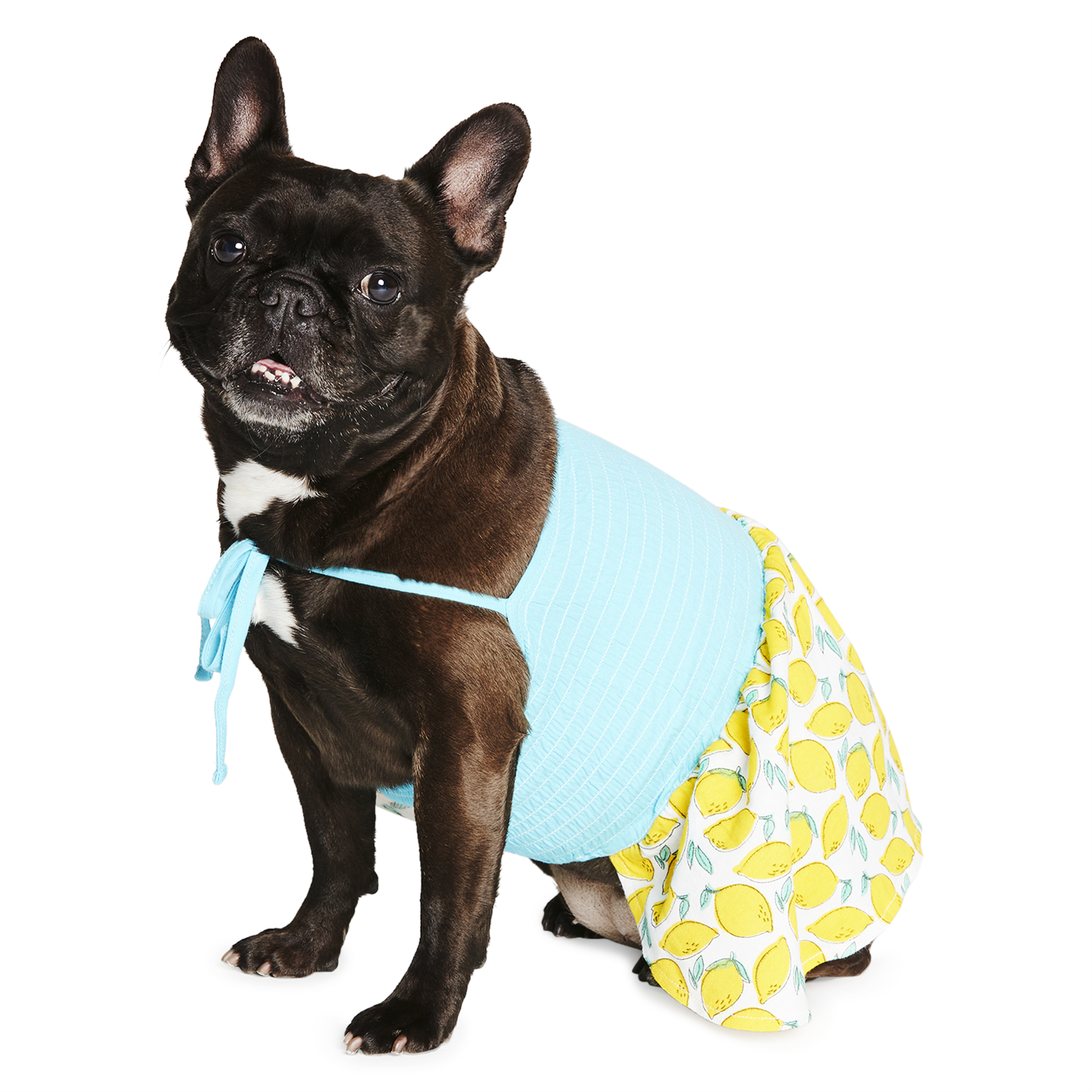 Summer Pet Dress