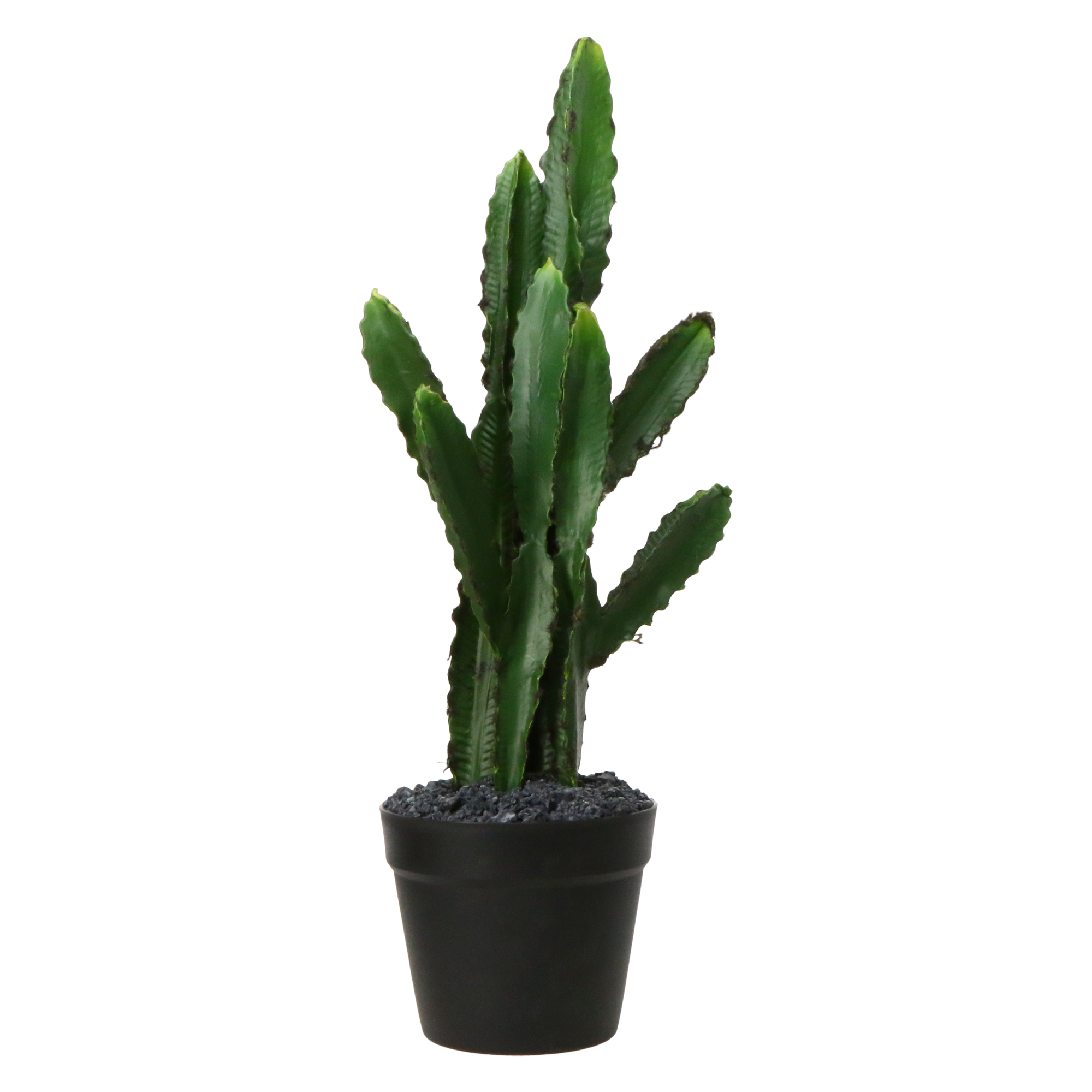 Large Saguaro Cactus Faux House Plant 8in x 27in