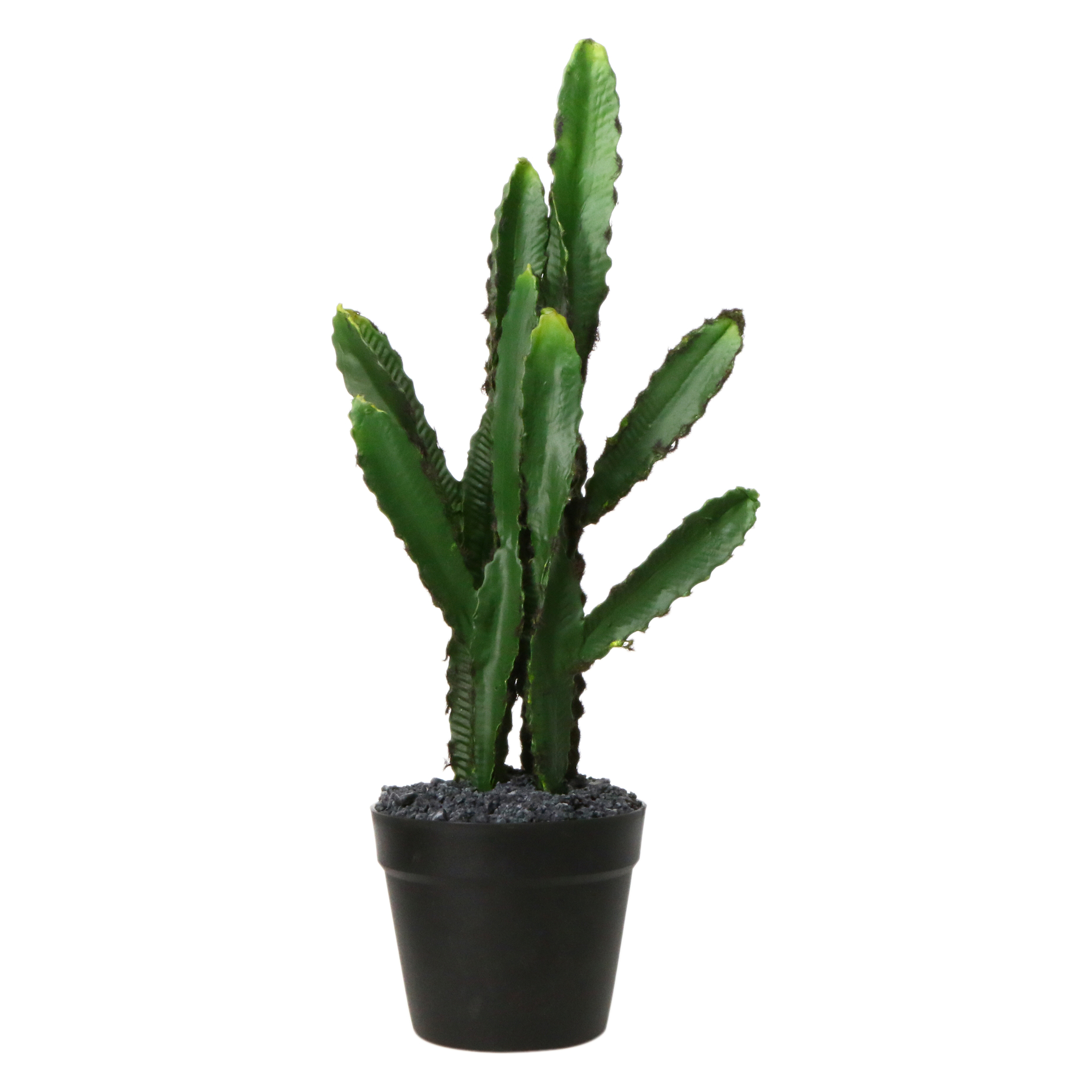 Large Saguaro Cactus Faux House Plant 8in x 27in