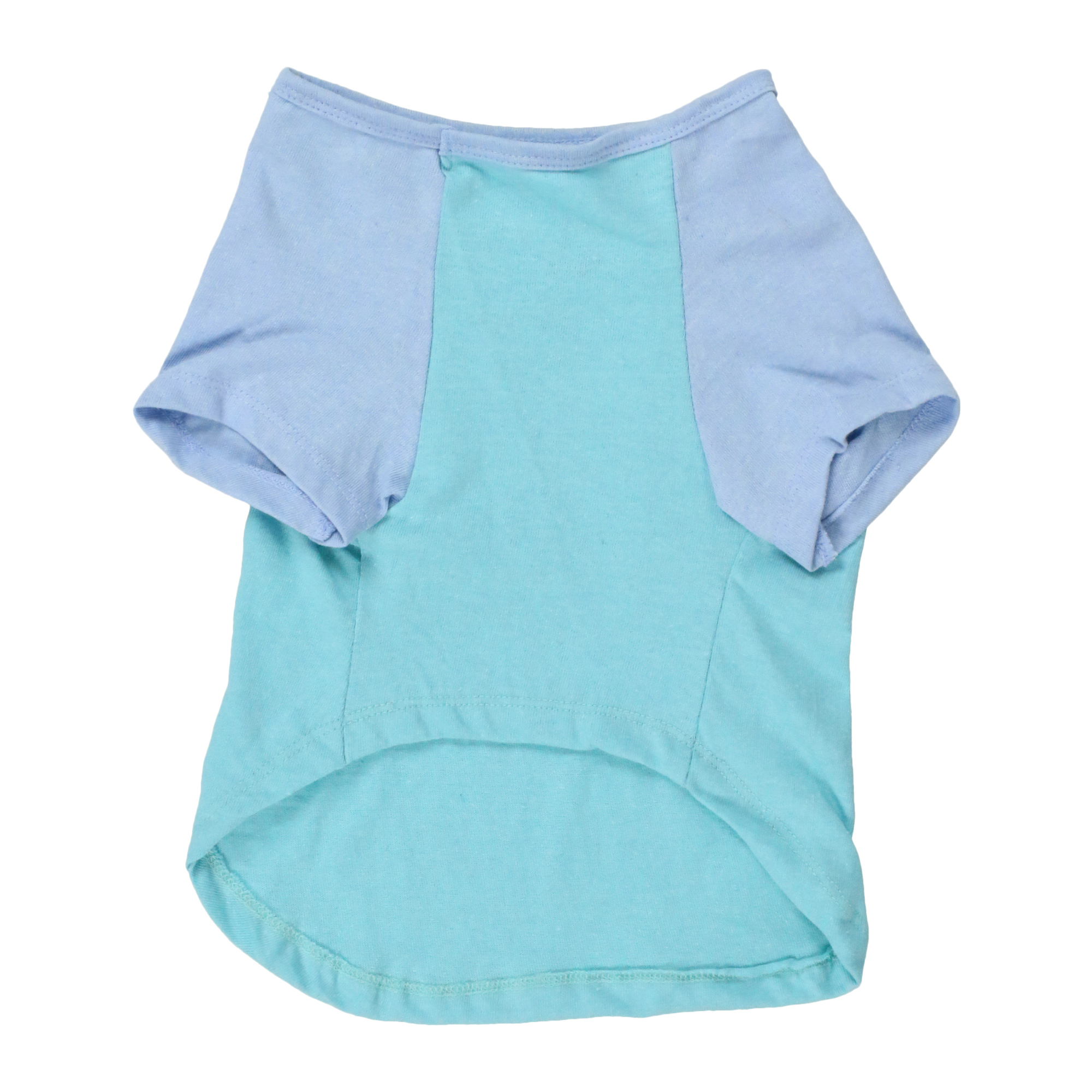 Summer Dog Graphic Tee - Popsicle