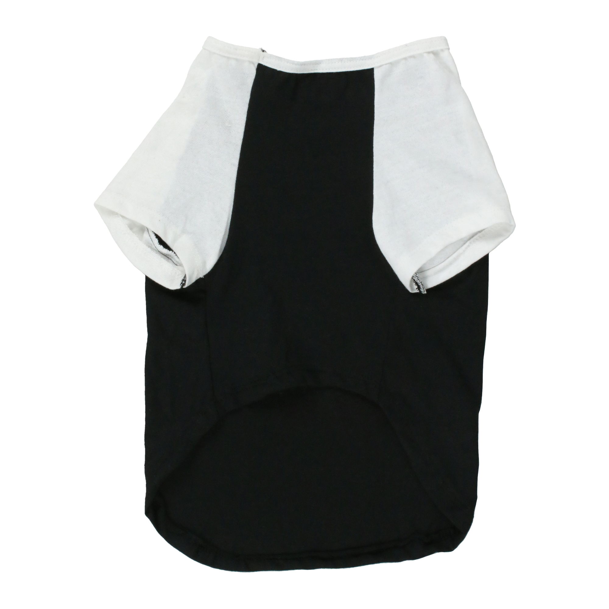 Summer Dog Graphic Tee - Wag Vibes - Small