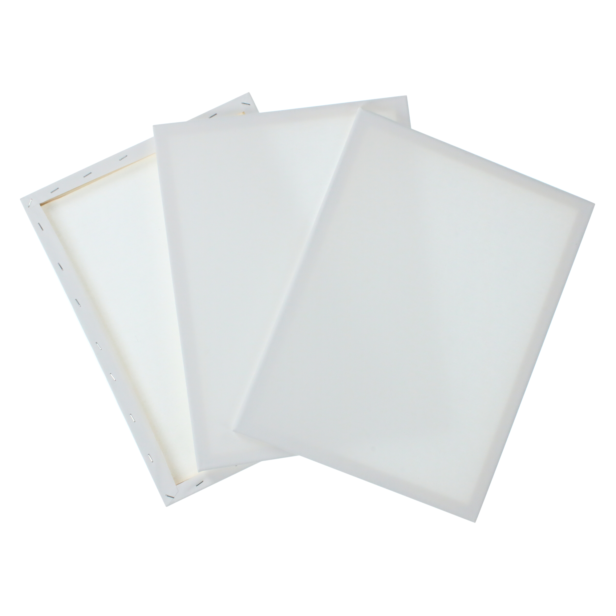 3-Pack Stretched Canvases 12in x 16in