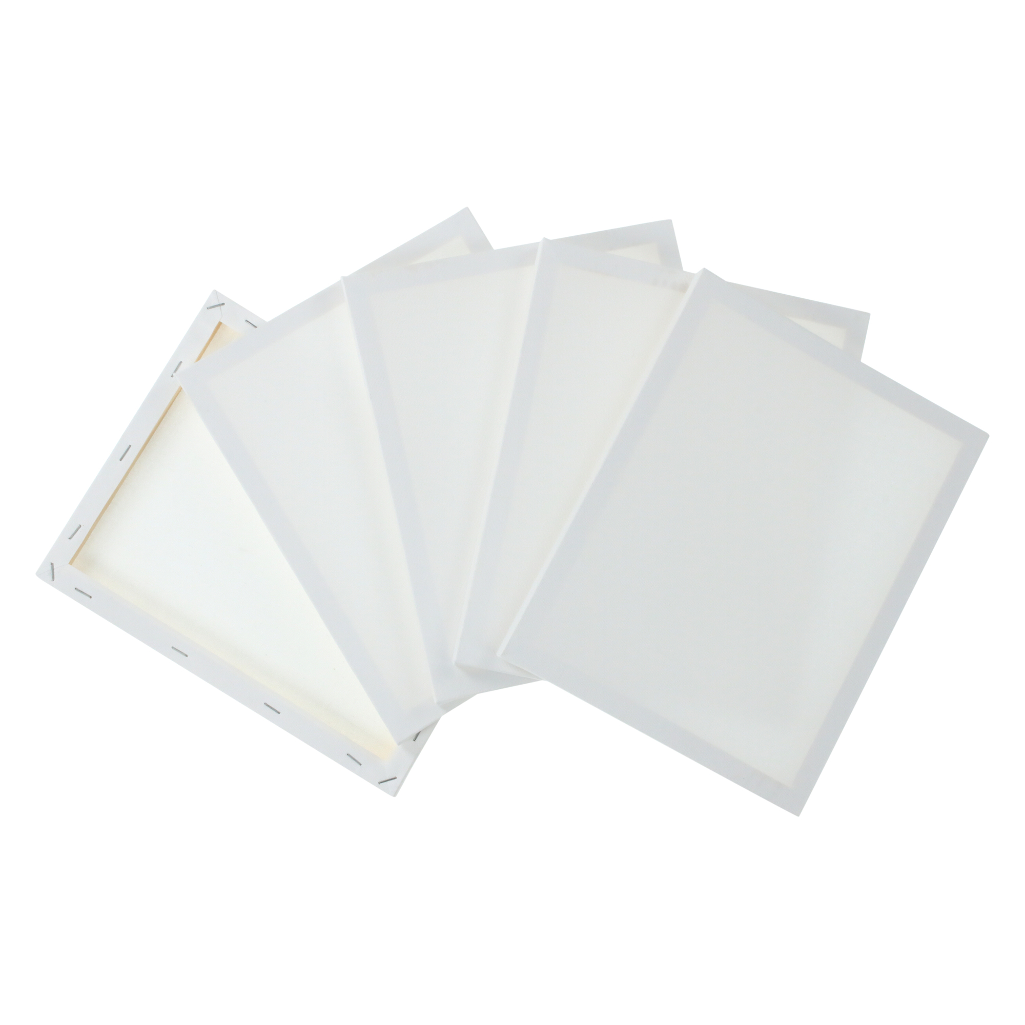 8in x 10in Stretched Canvas 5-Pack