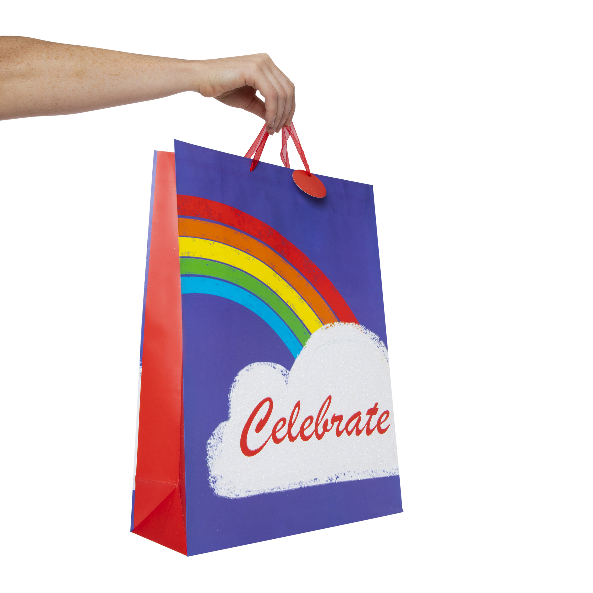 Celebrate/Yay Jumbo Gift Bag 17.75in x 12.75in
