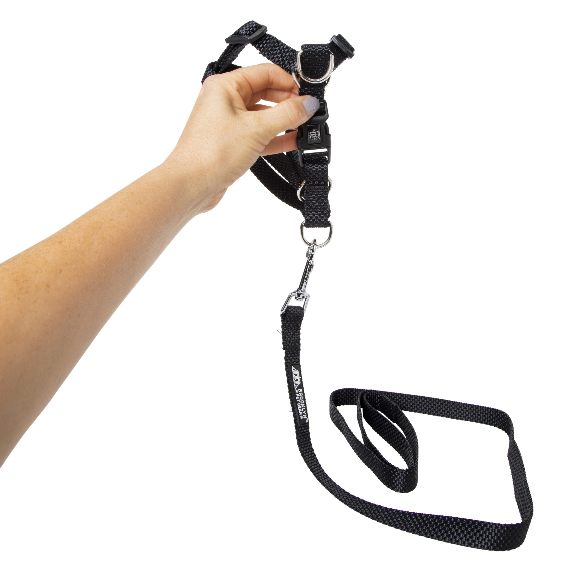 Dog Harness & 4ft Leash Set