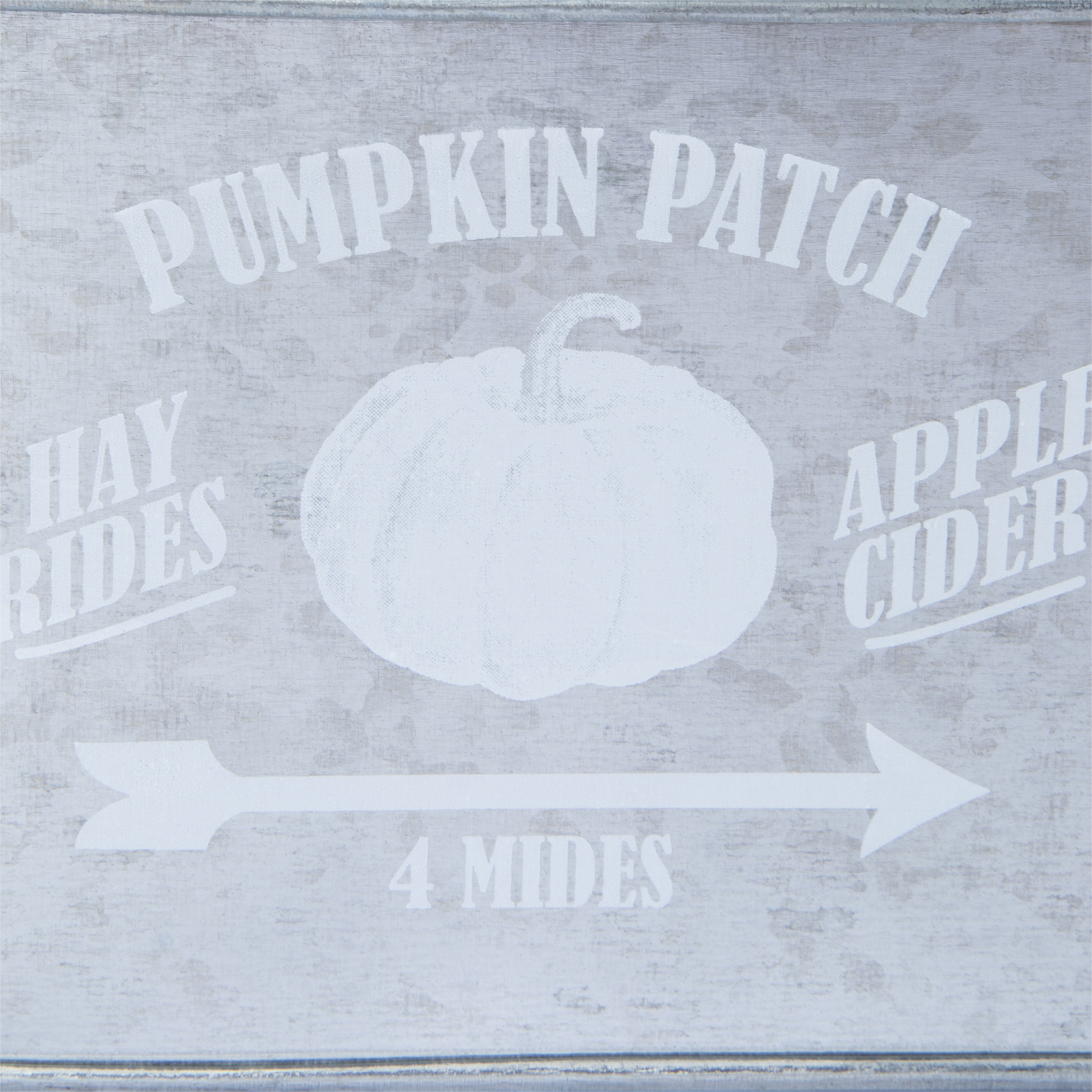 Pumpkin Patch' Galvanized Metal Tub 15.2in x 10.3in