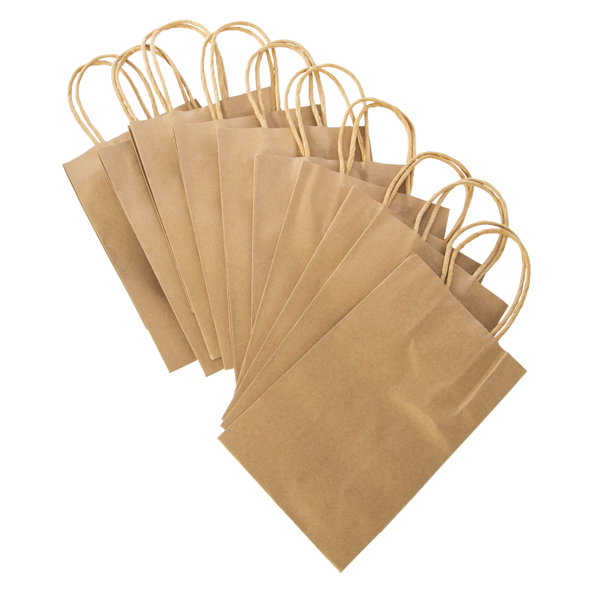 Recyclable Eco-Friendly Gift Bags 10-Count