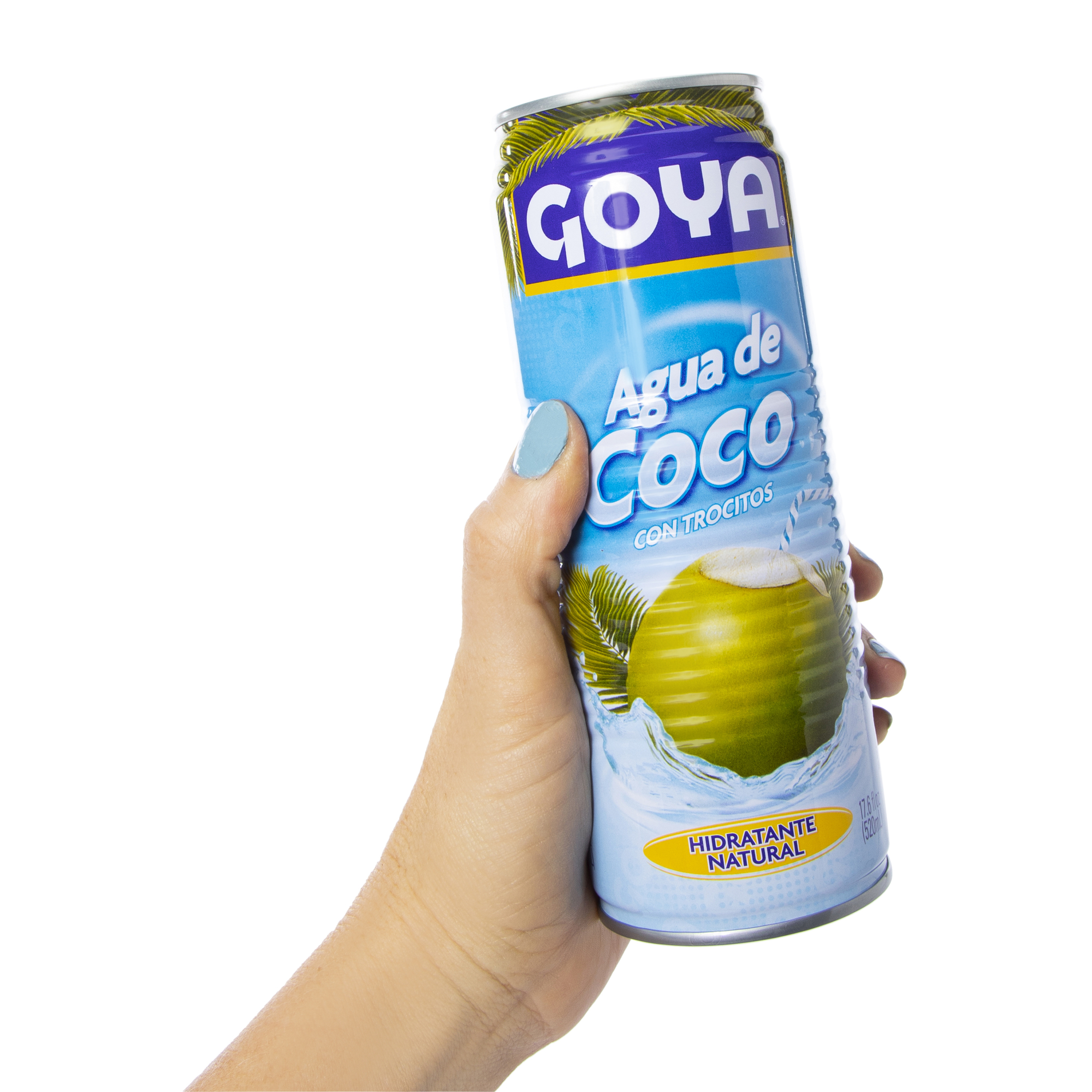 Goya Coconut Water With Pulp 17.6 oz
