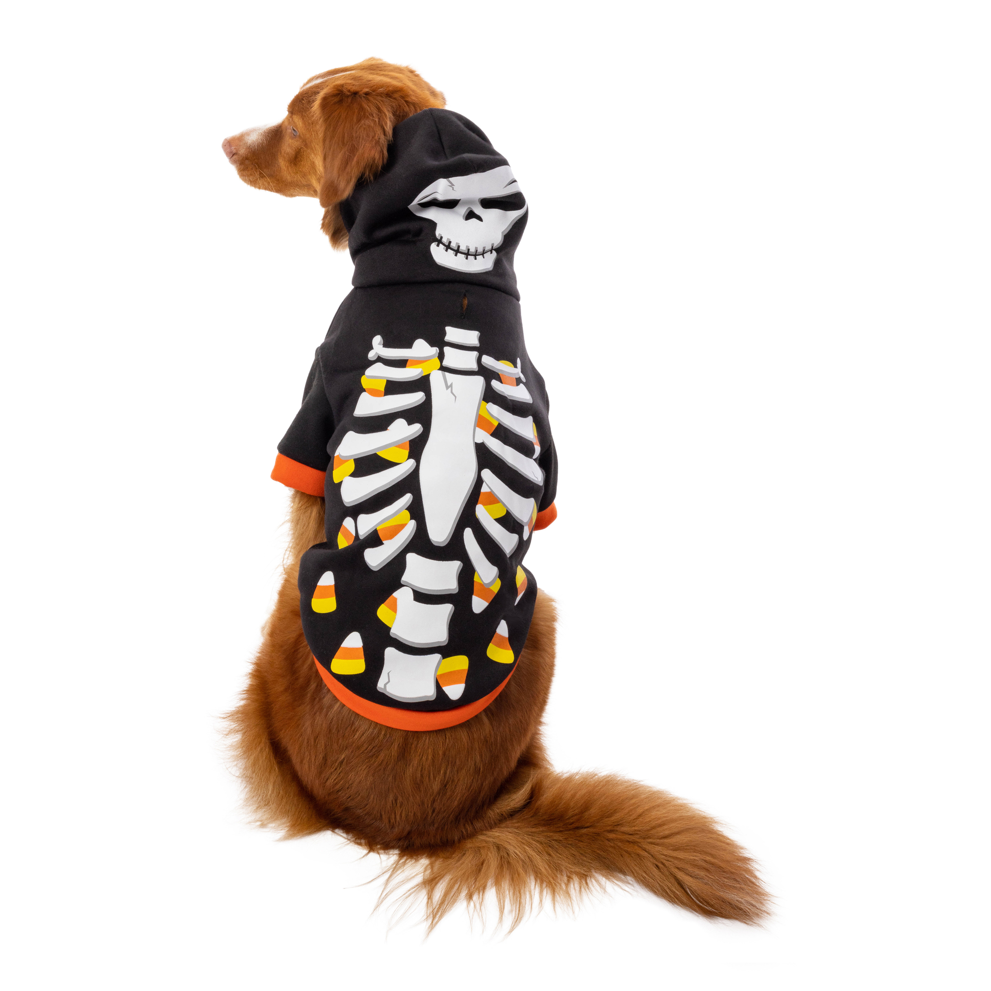 Halloween Pet Hoodie