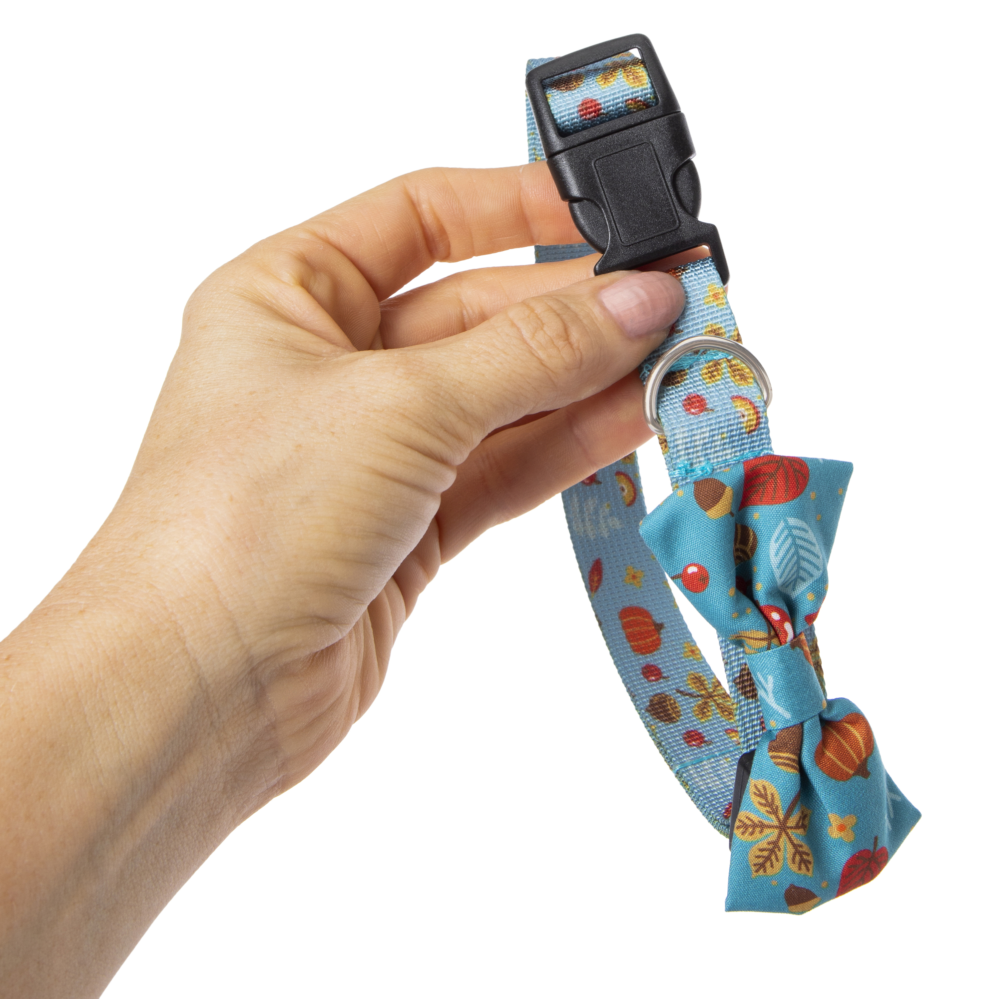 Matching Fall Pet Collar & Bandana Set