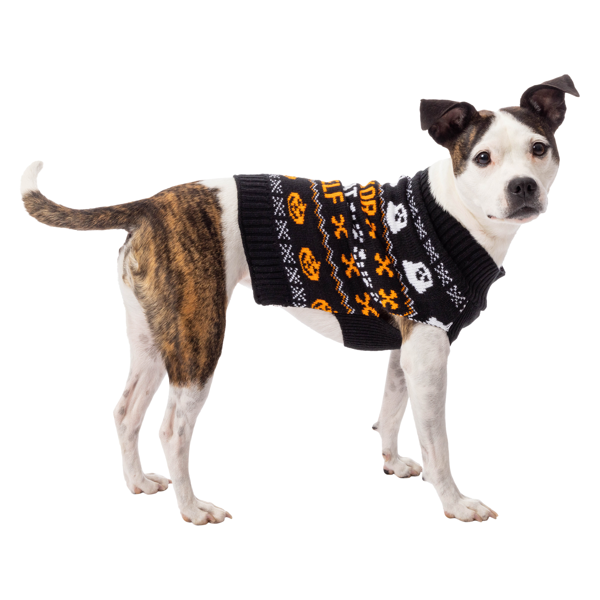 Halloween Pet Sweater