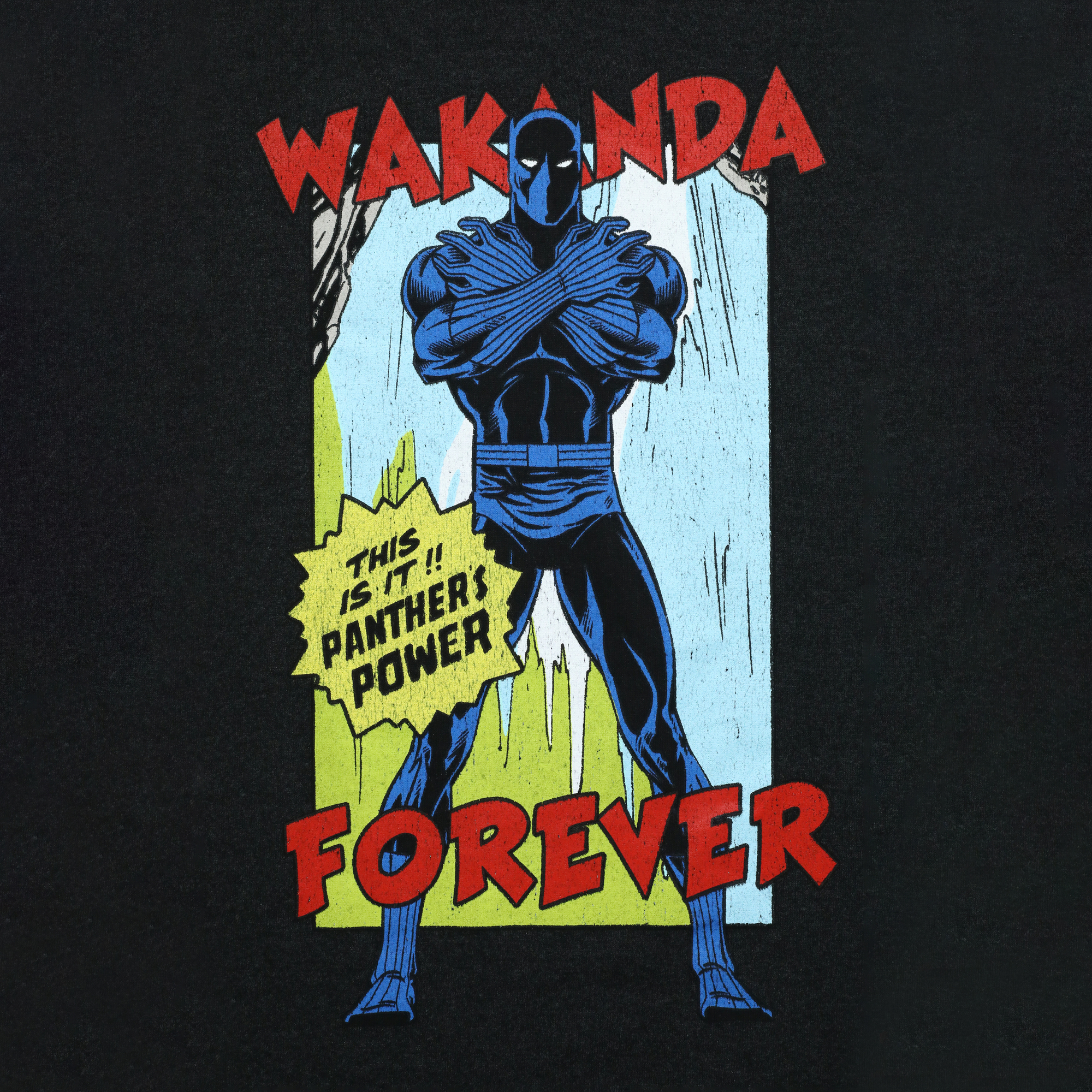 Black Panther Wakanda Forever Graphic Tee
