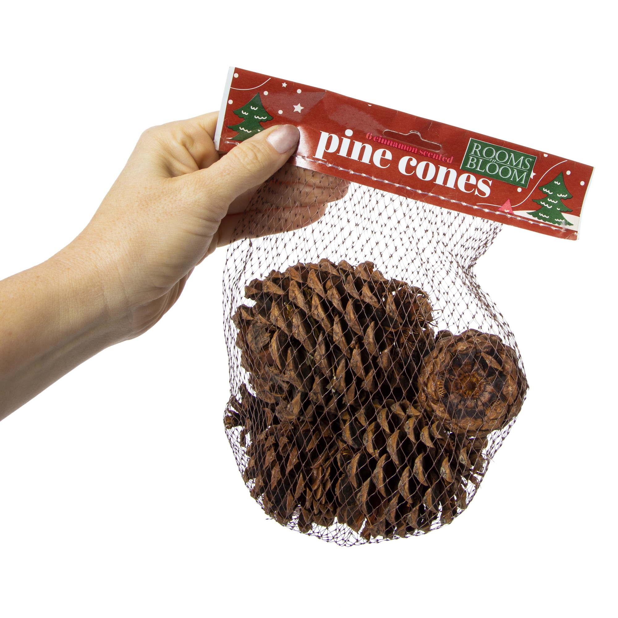 Cinnamon Scented Pinecones 6-Count