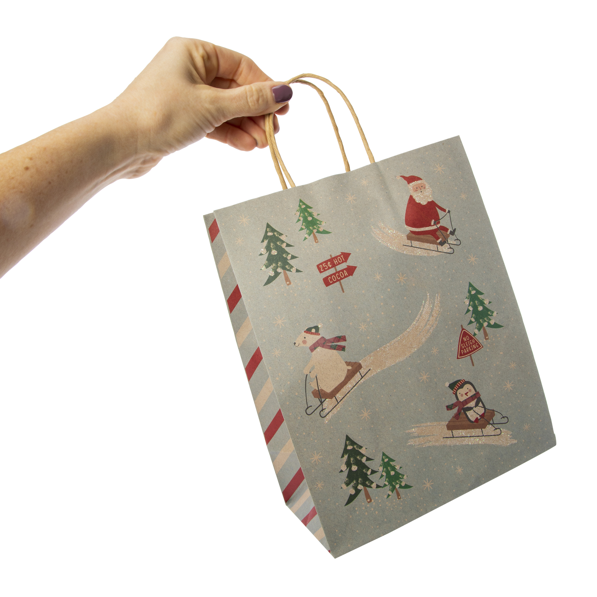 Medium Holiday Kraft Gift Bags 7in x 9in 5-Pack - Classic