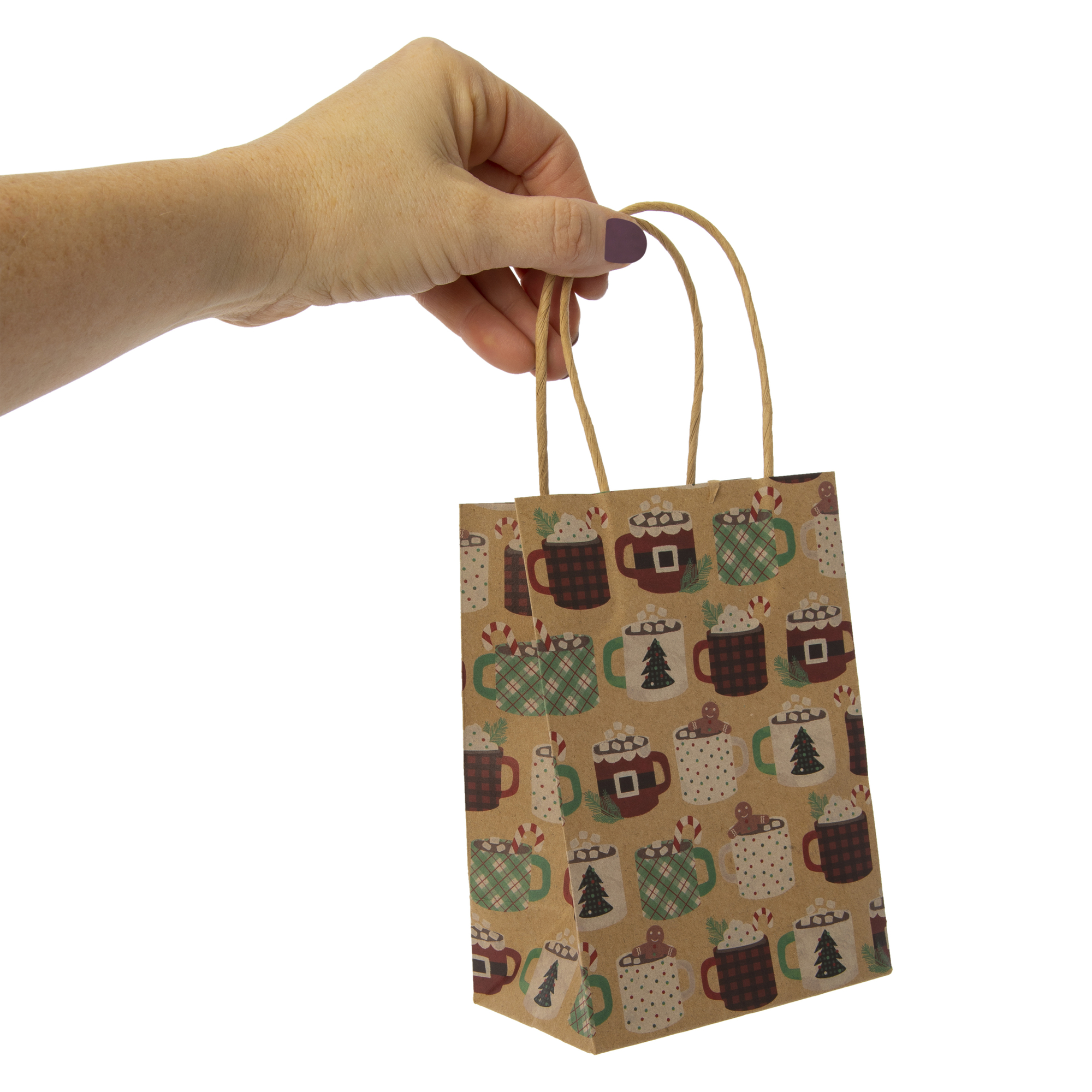 6-Pack Small Holiday Kraft Gift Bags 4.5in x 6.5in
