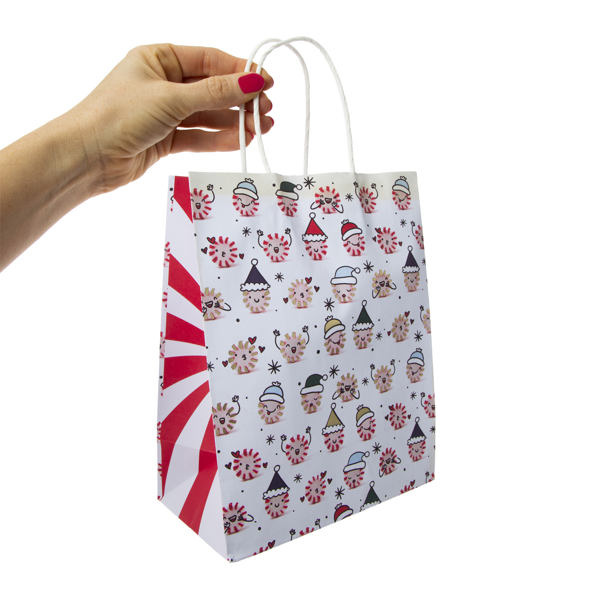 5-Pack Medium Gift Bag Set 7in x 9in