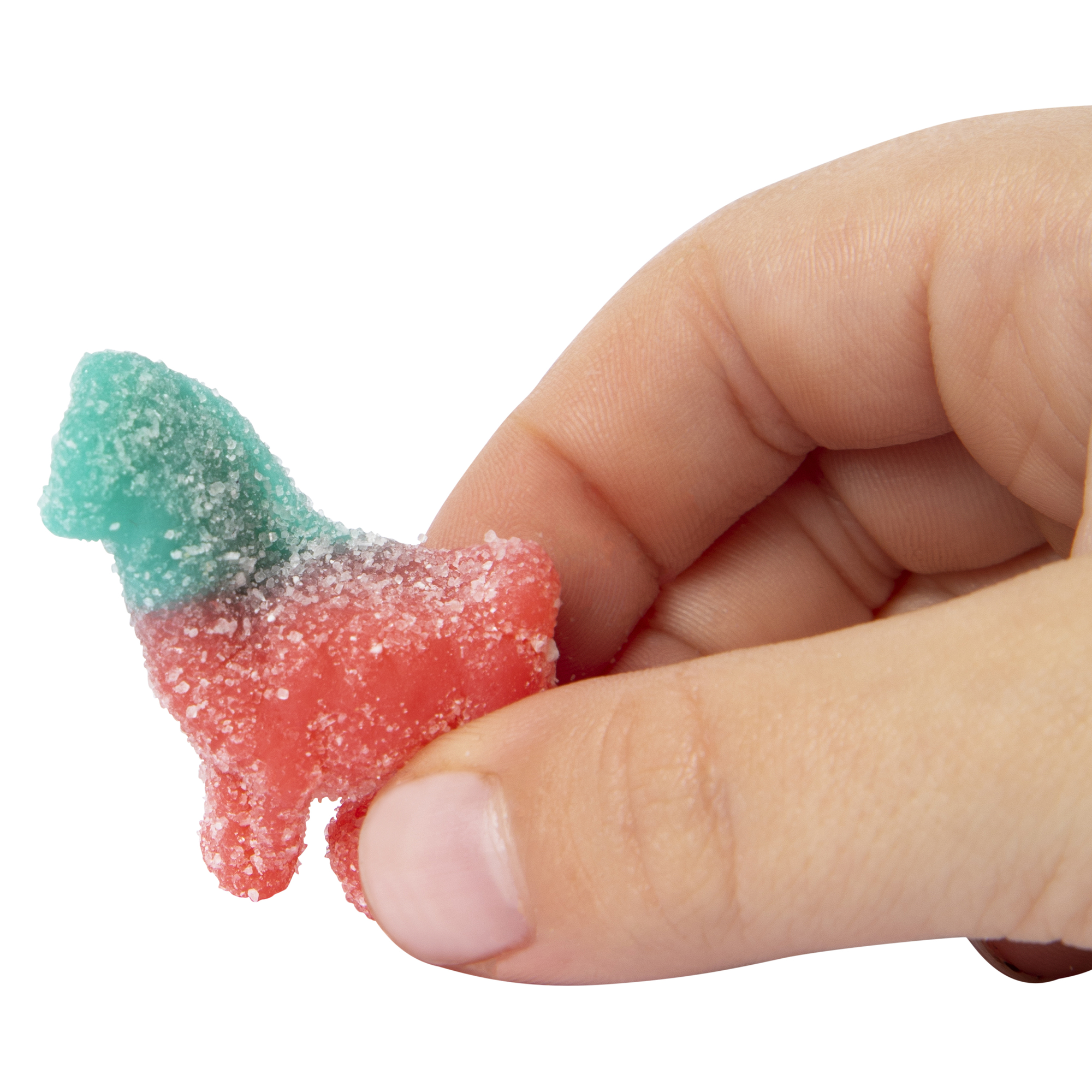 Trolli® Sour Brite Tropical Llamas Gummy Candy 3oz