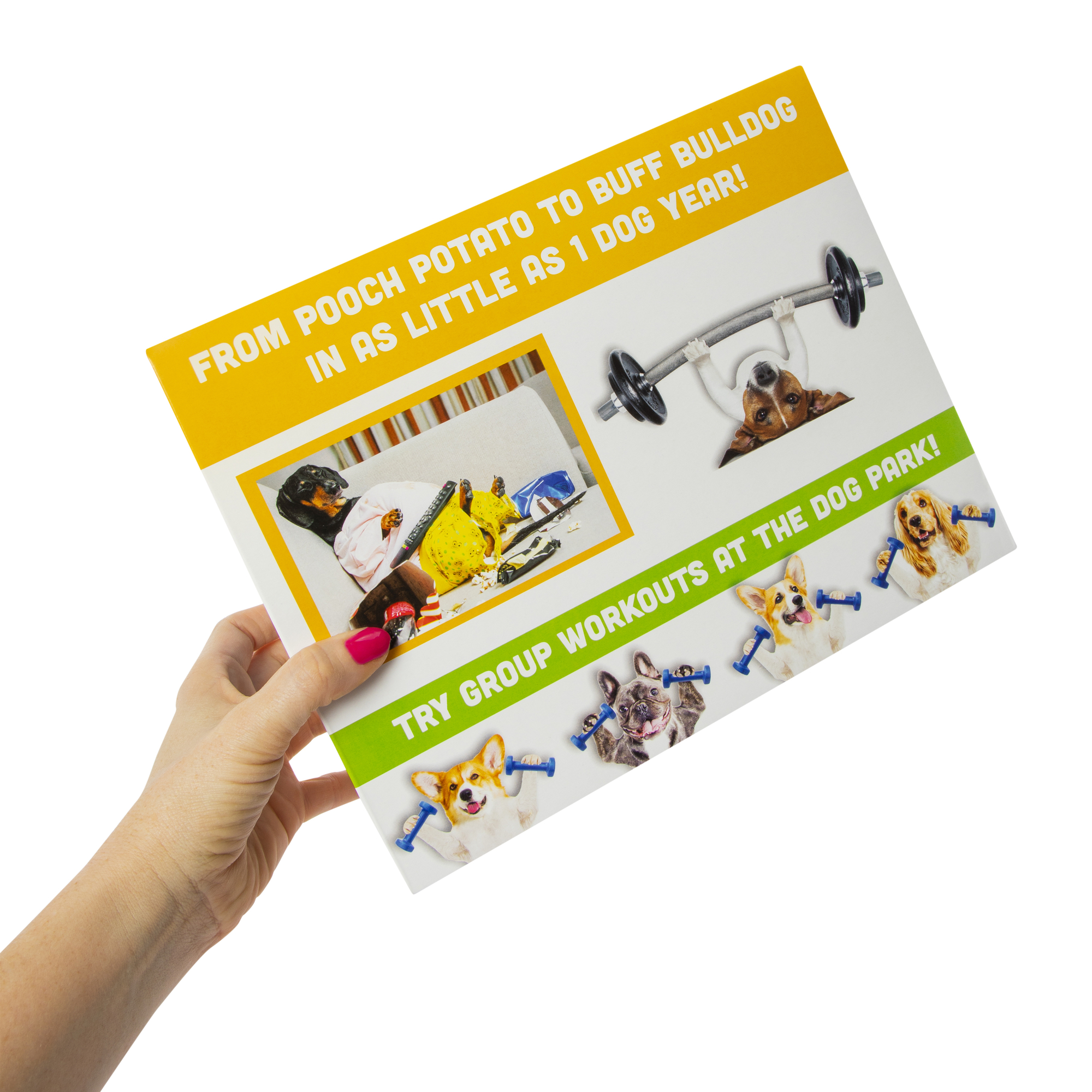 Prank Gift Boxes 2-Pack