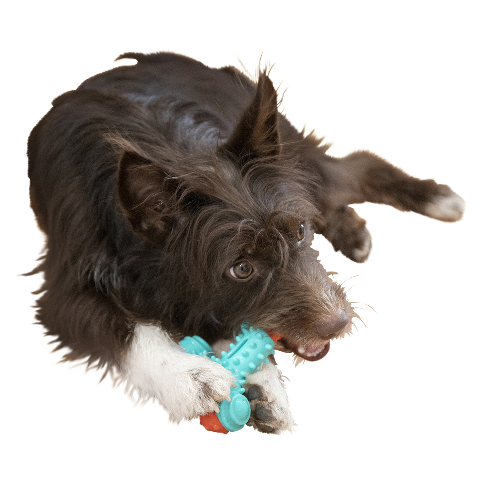 Arm & Hammer® Nubbies Wishbone - Chicken Flavor