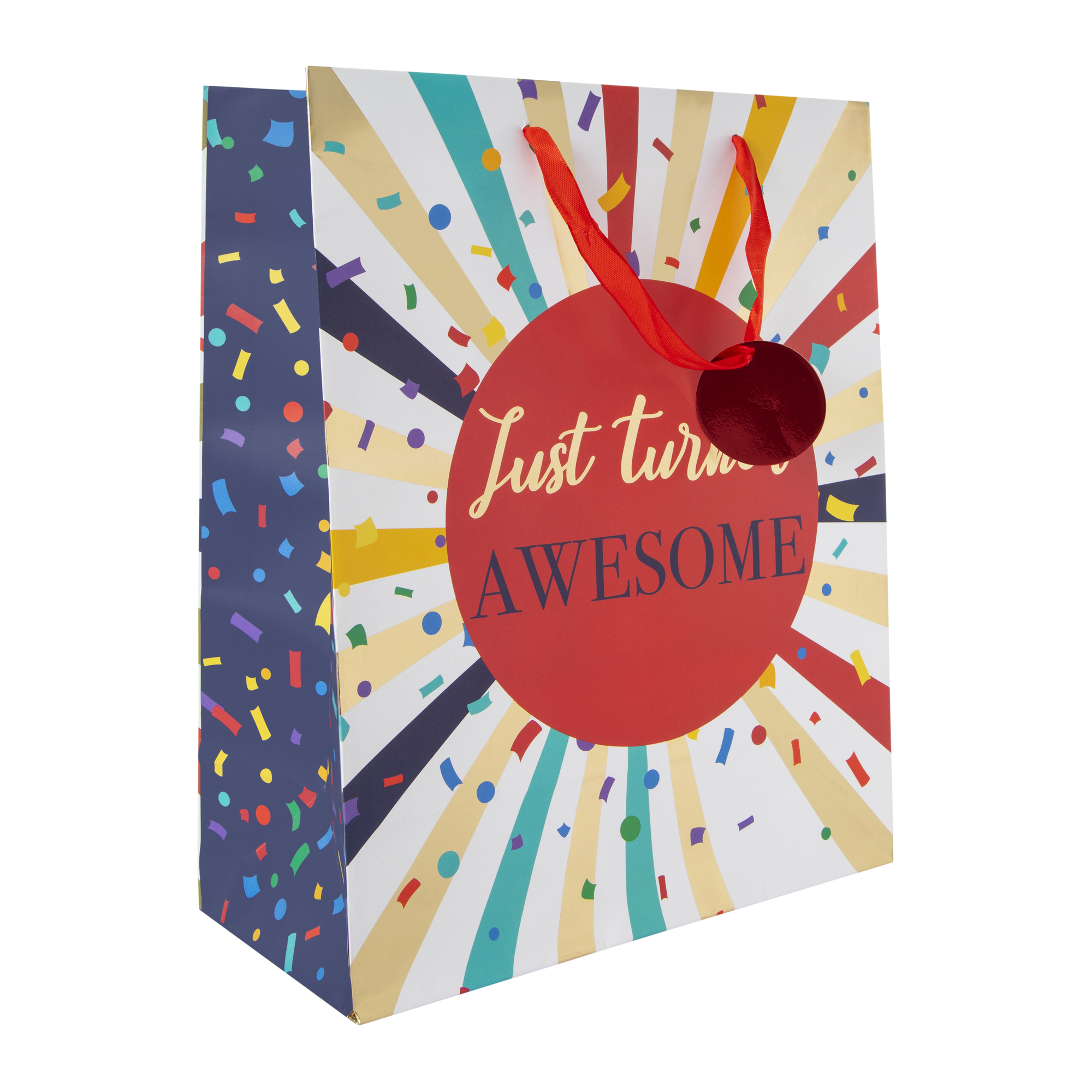 Large Gift Bag 12.75in x 10.37in