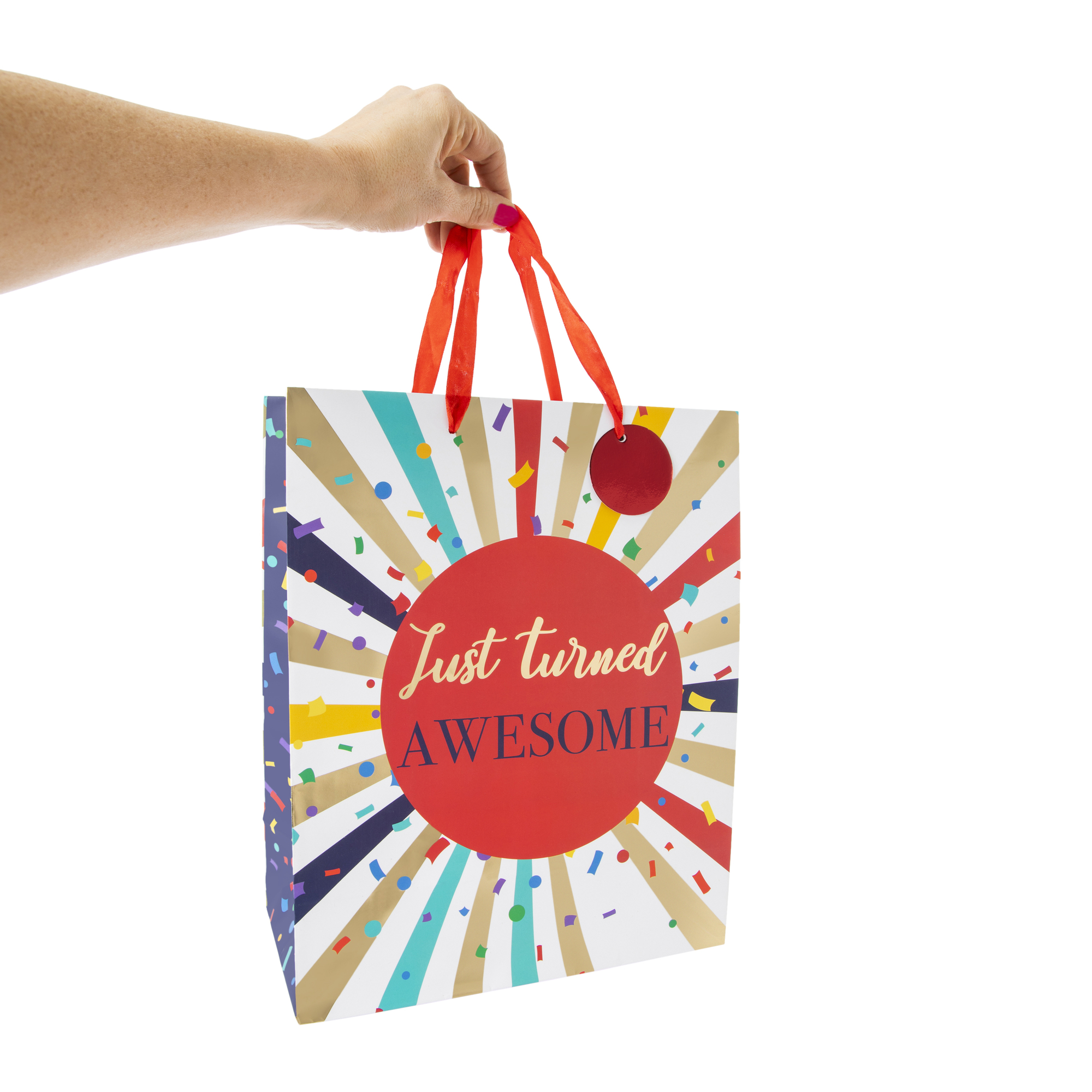 Large Gift Bag 12.75in x 10.37in