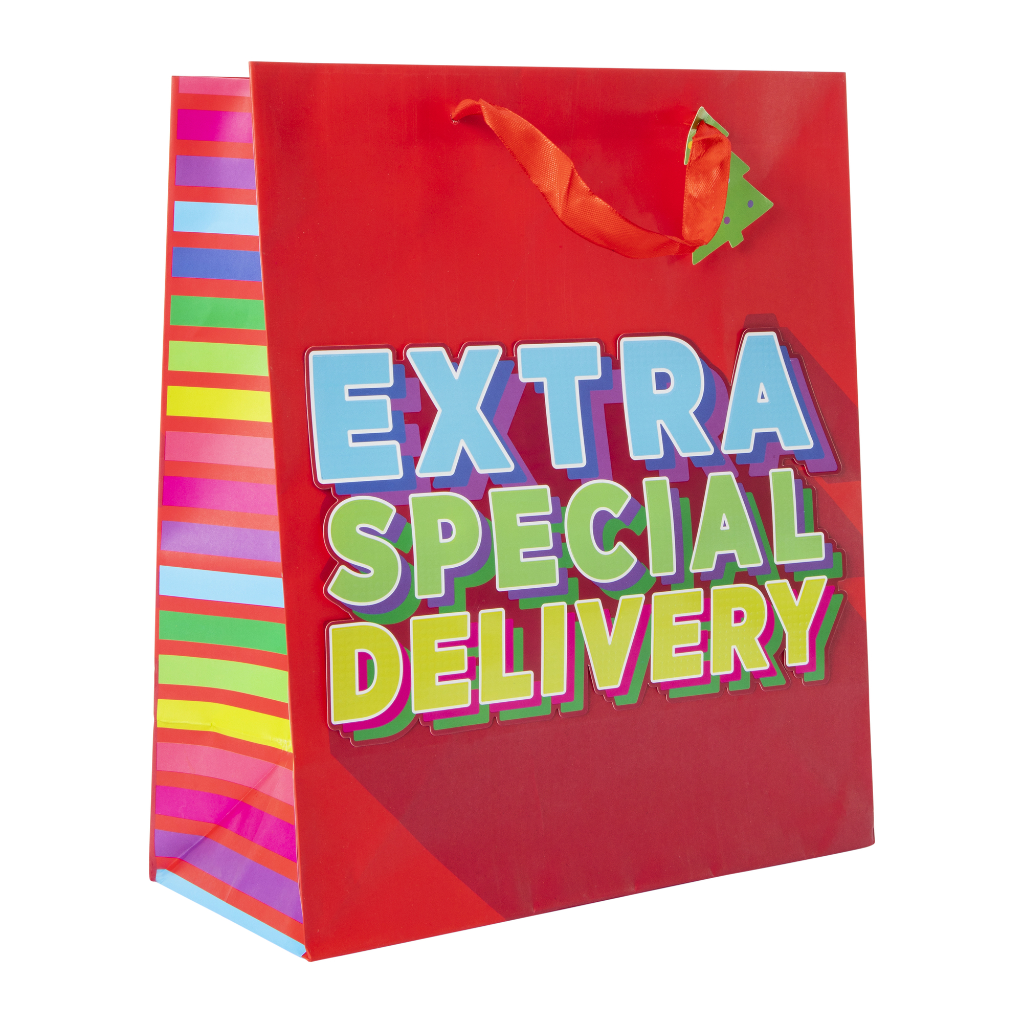 Large Gift Bag 10in x 12in