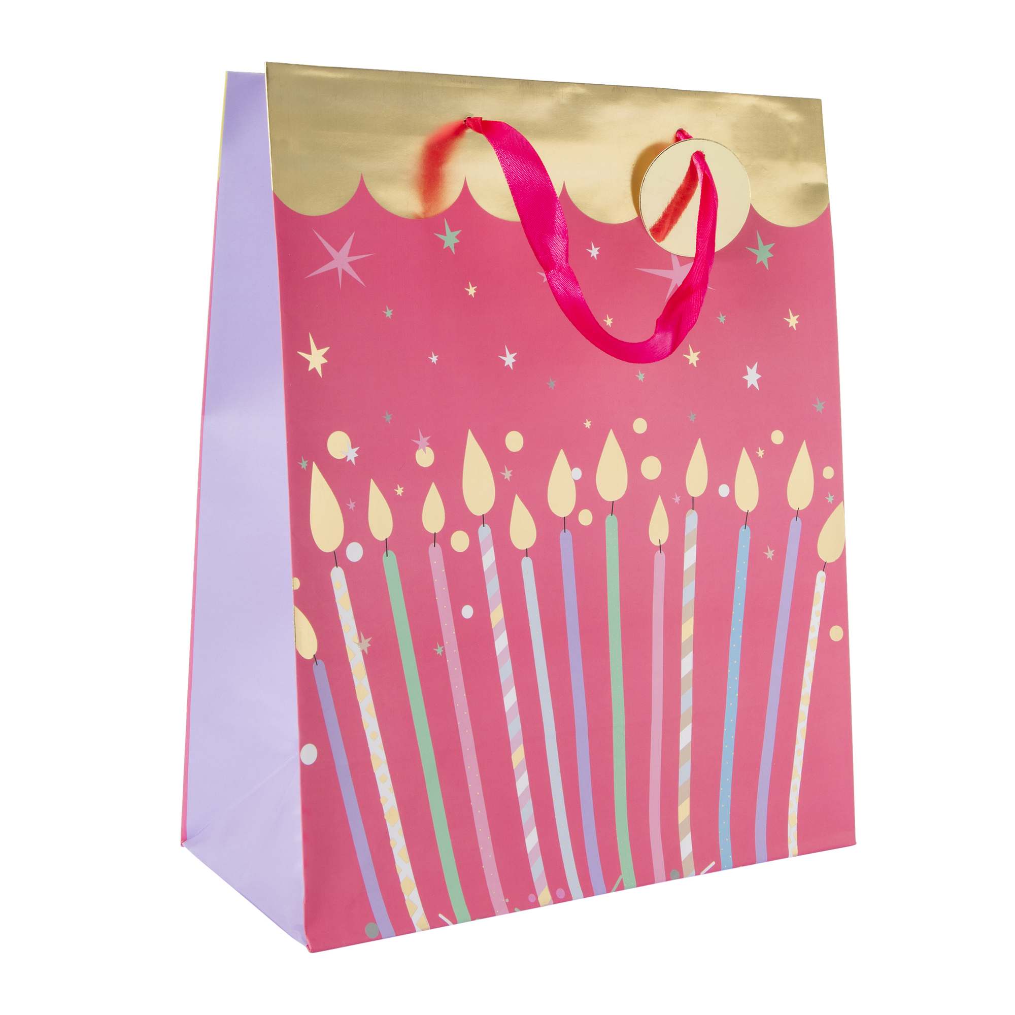 Large Gift Bag 12.5in x 10.38in