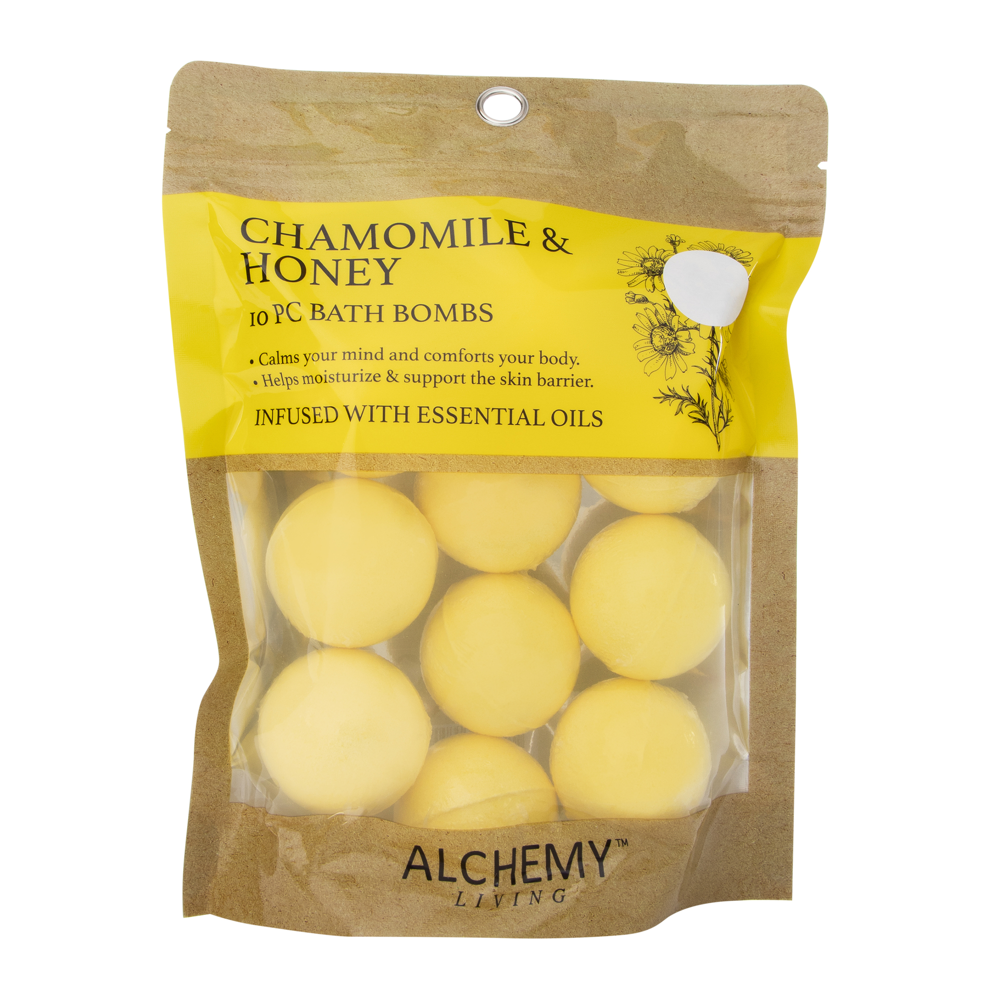 Alchemy Living™ Bath Bombs 10-Pack