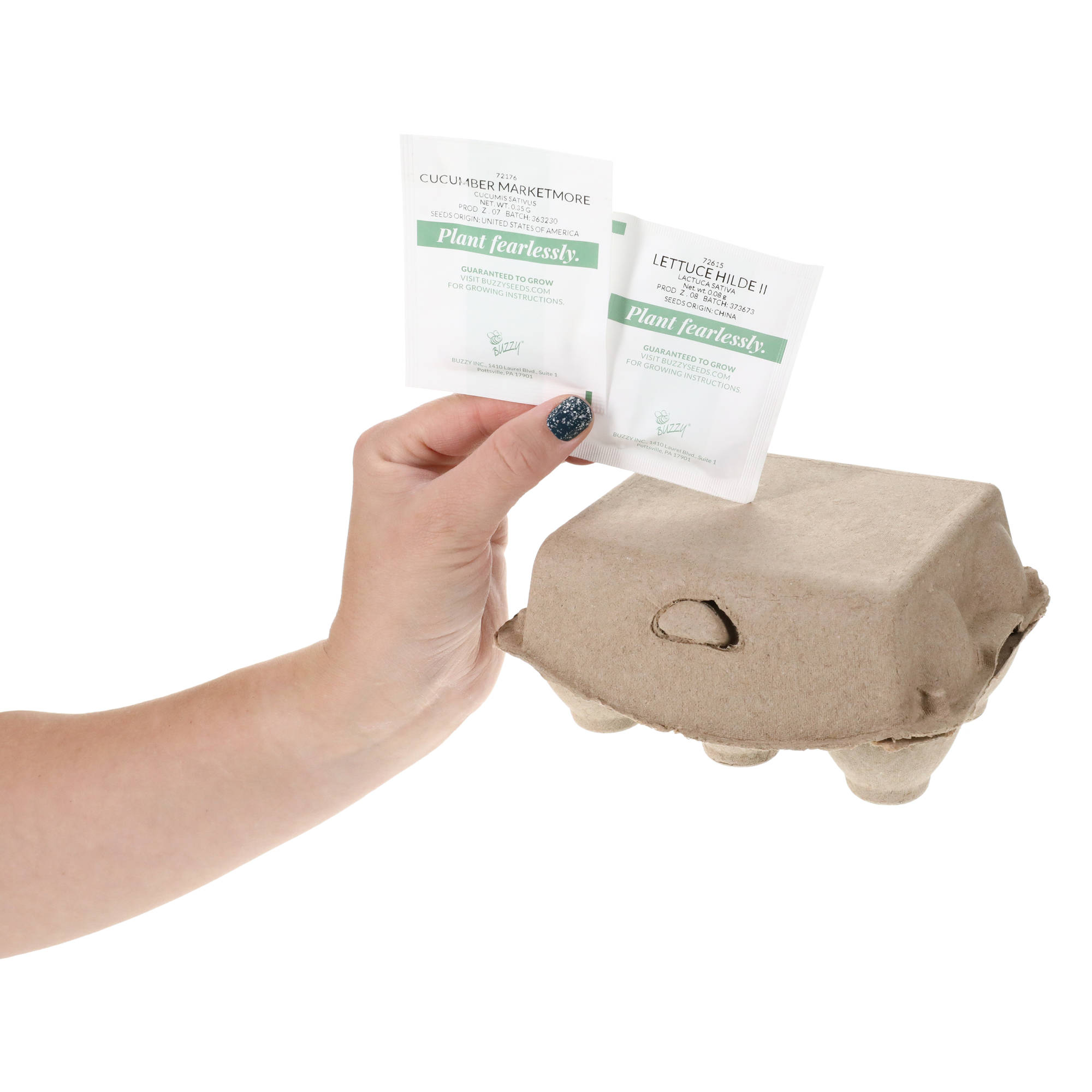 Buzzy® Biodegradable ingredient Grow Kit